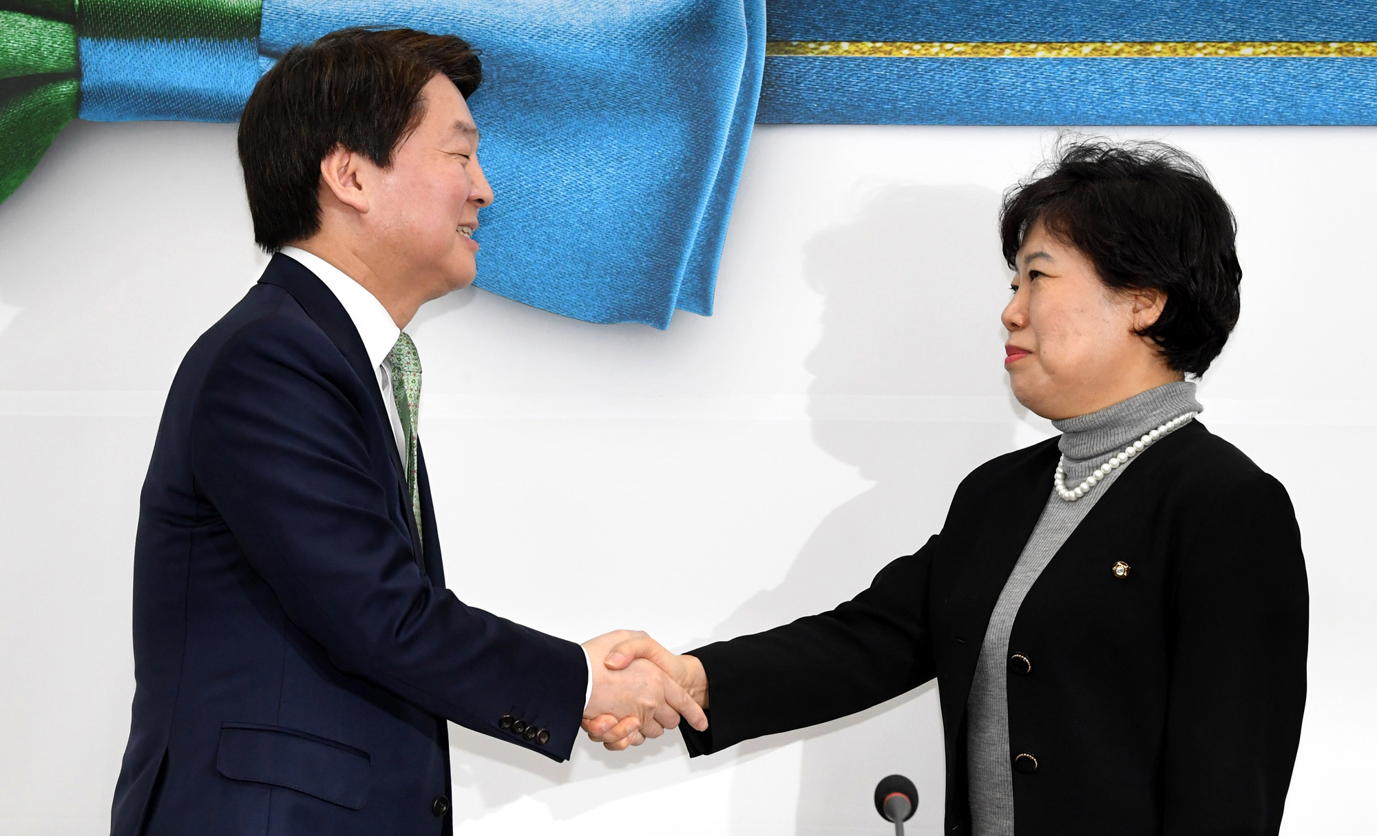 정치;국회;조배숙;안철수