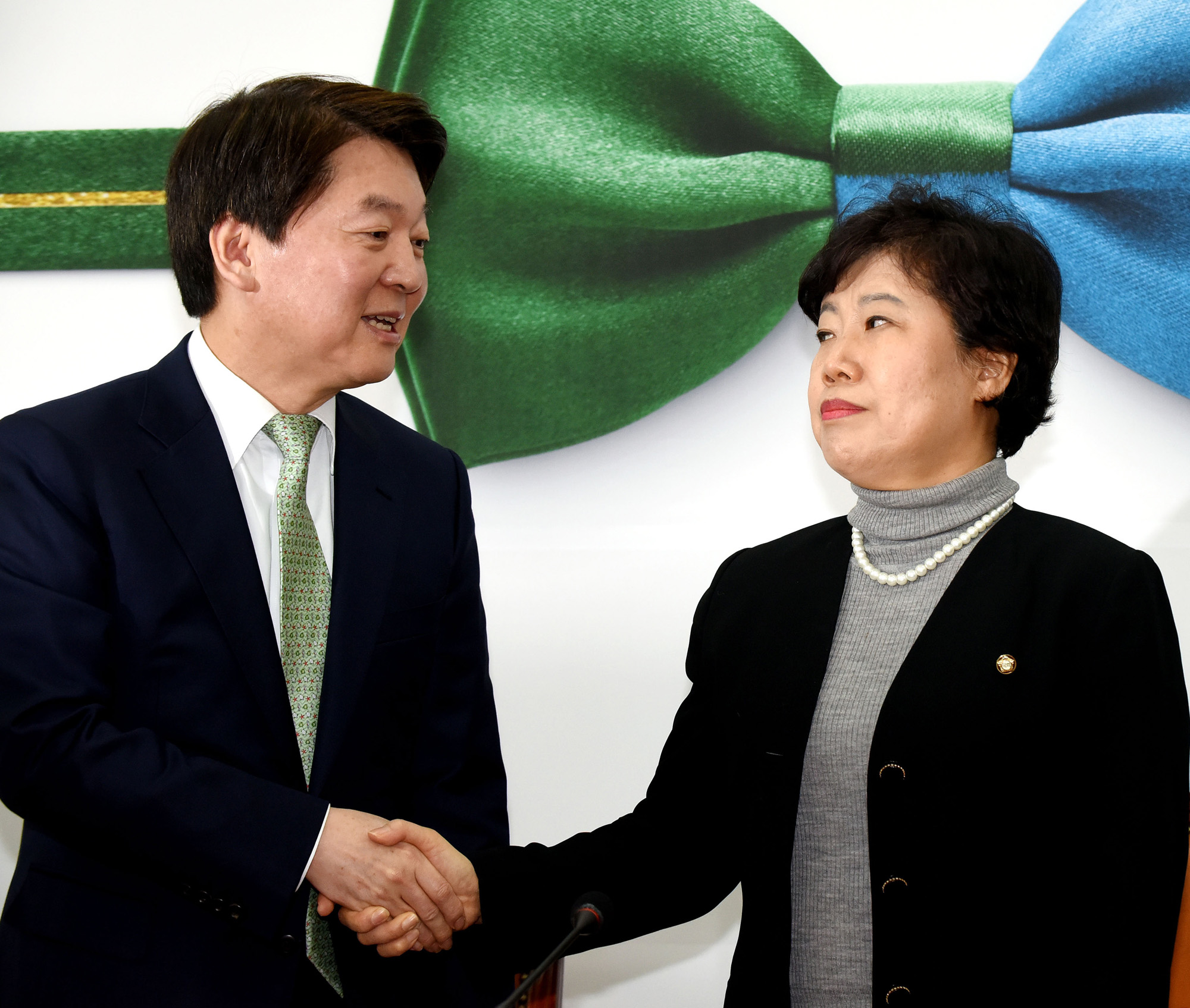 정치;국회;조배숙;안철수