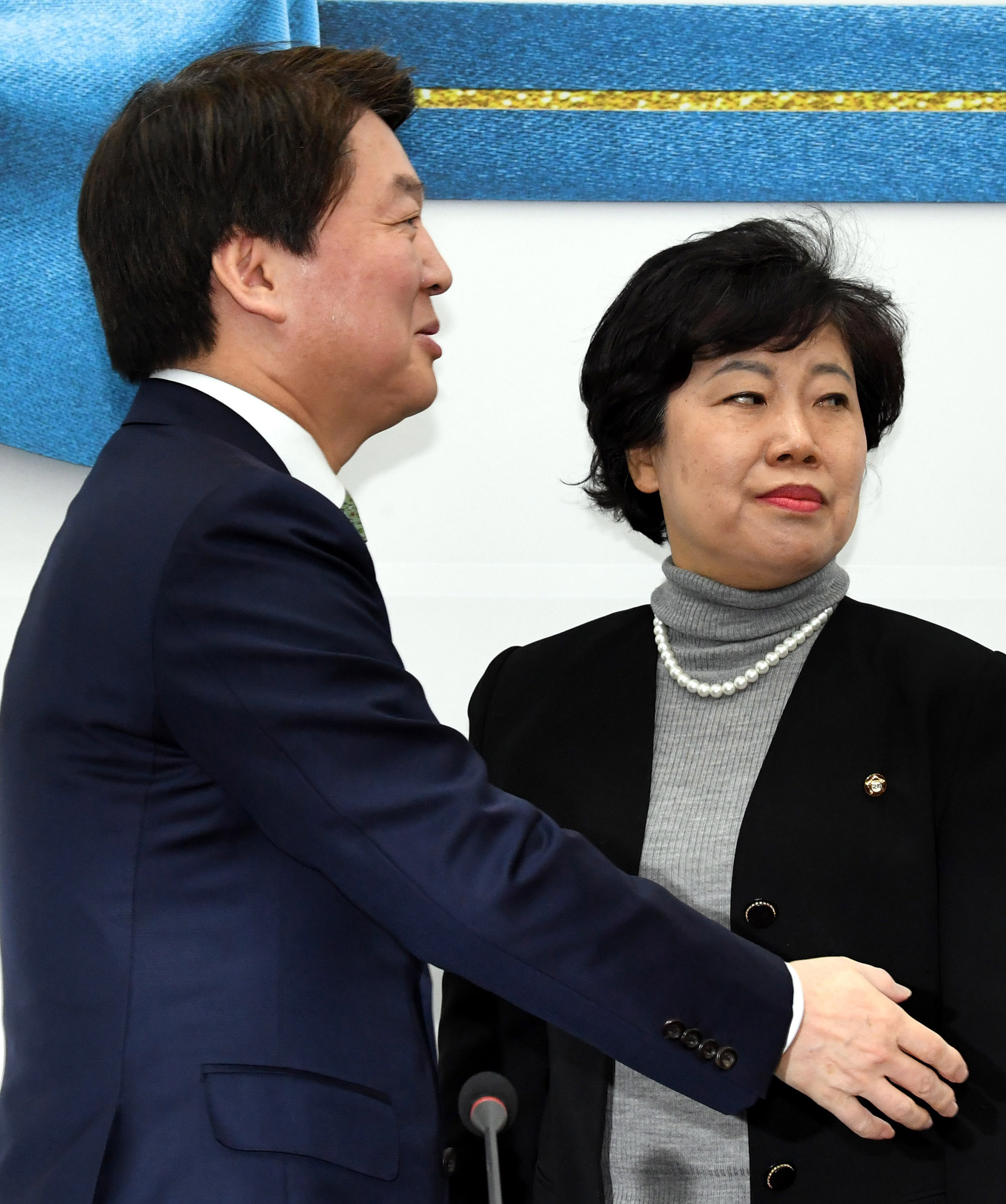 정치;국회;조배숙;안철수