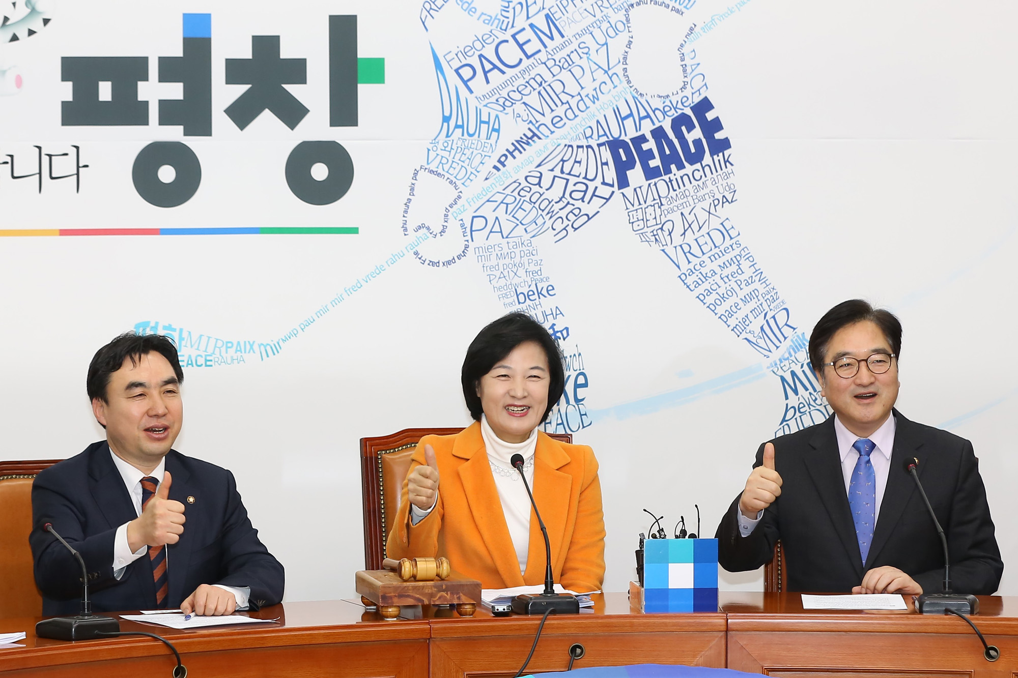 정치국회;더불어민주당최고위;추미애대표