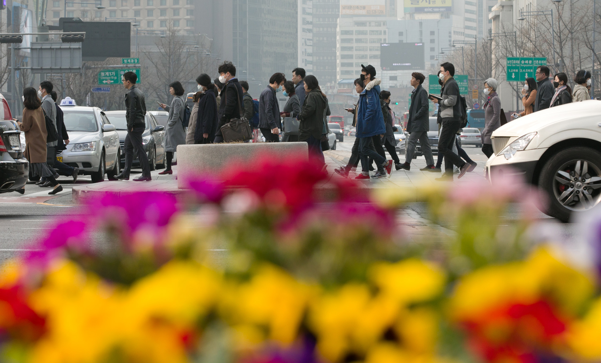 미세먼지