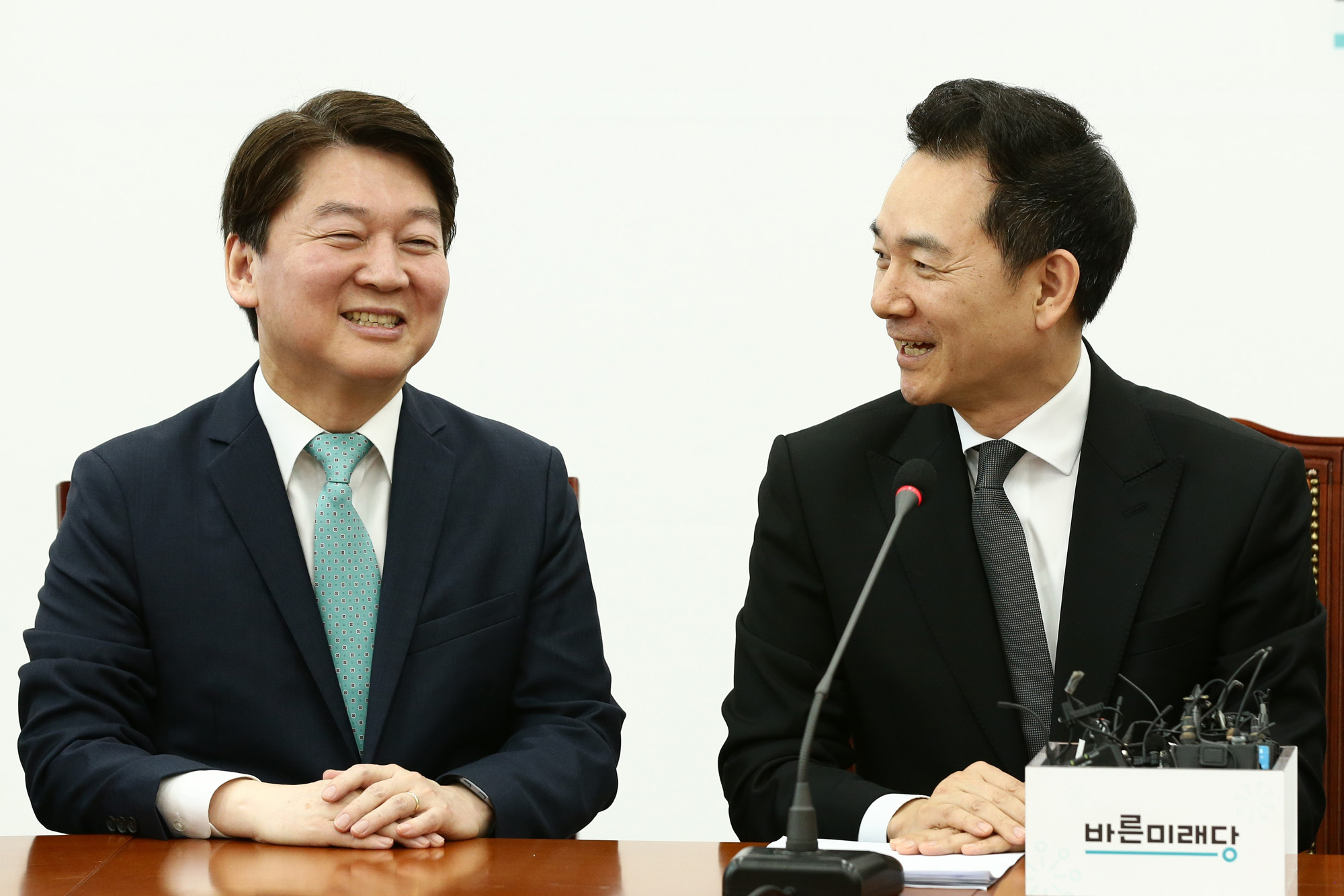 정치국회;안철수;바른미래당인재영입;장성민