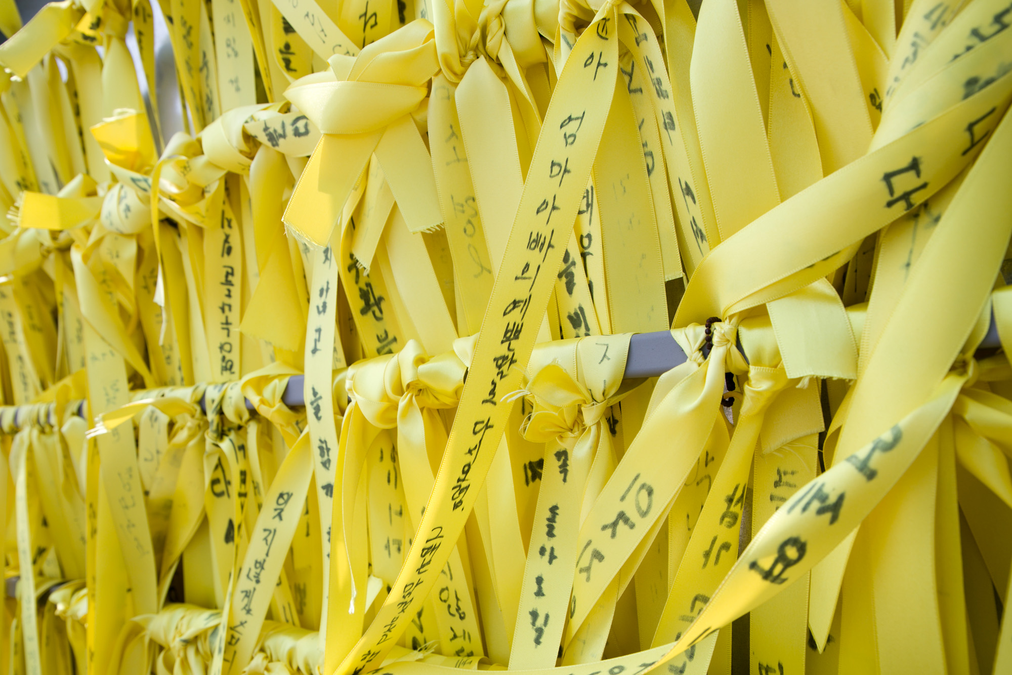 세월호;목포신항;세월호내부