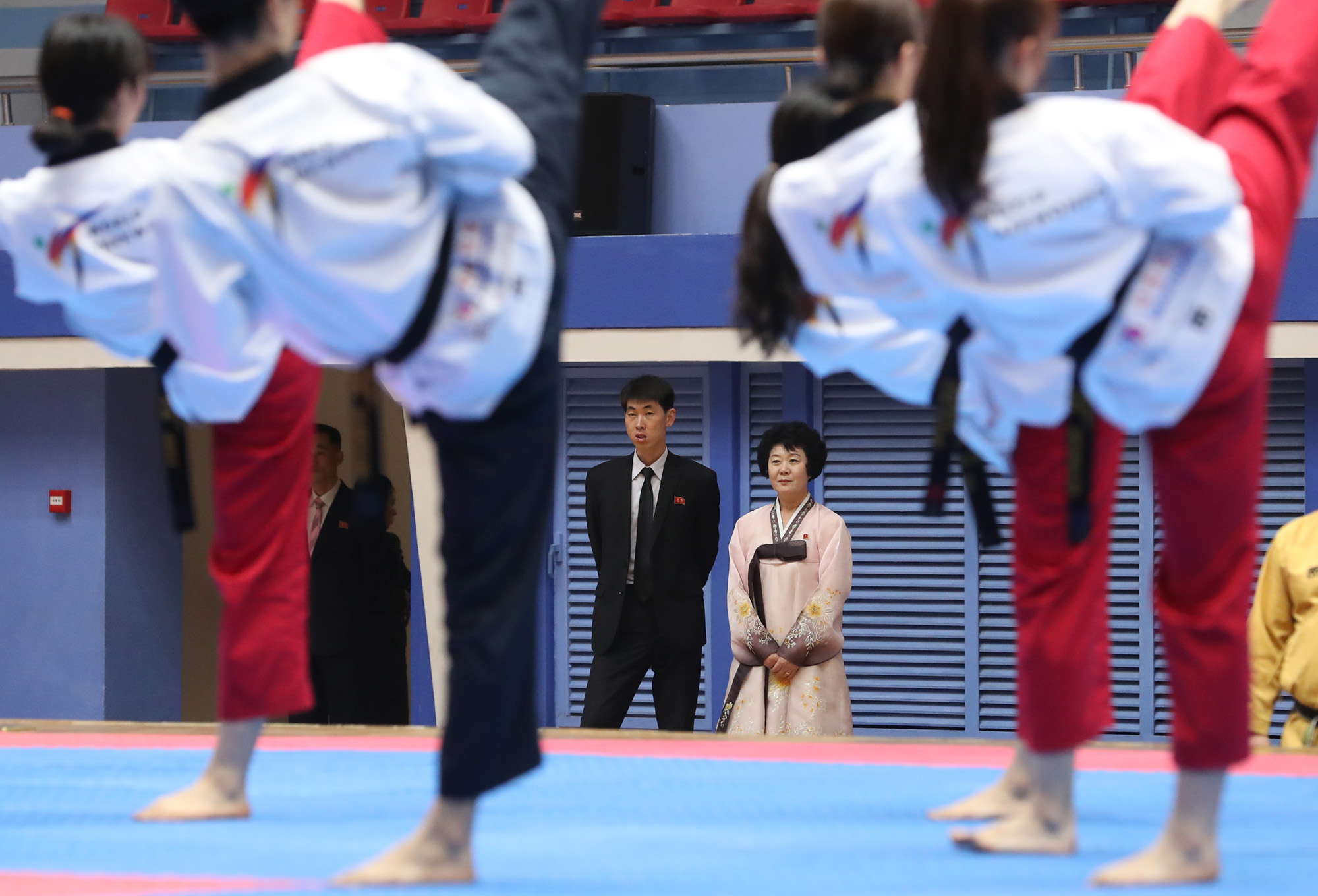 북한;평양;대중음악;공연;남북화합;조용필;이선희;레드벨벳;태권도