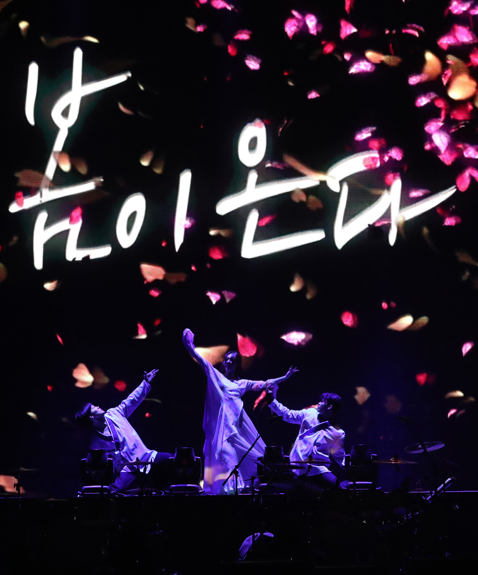 북한;평양;대중음악;공연;남북화합;조용필;이선희;레드벨벳;태권도