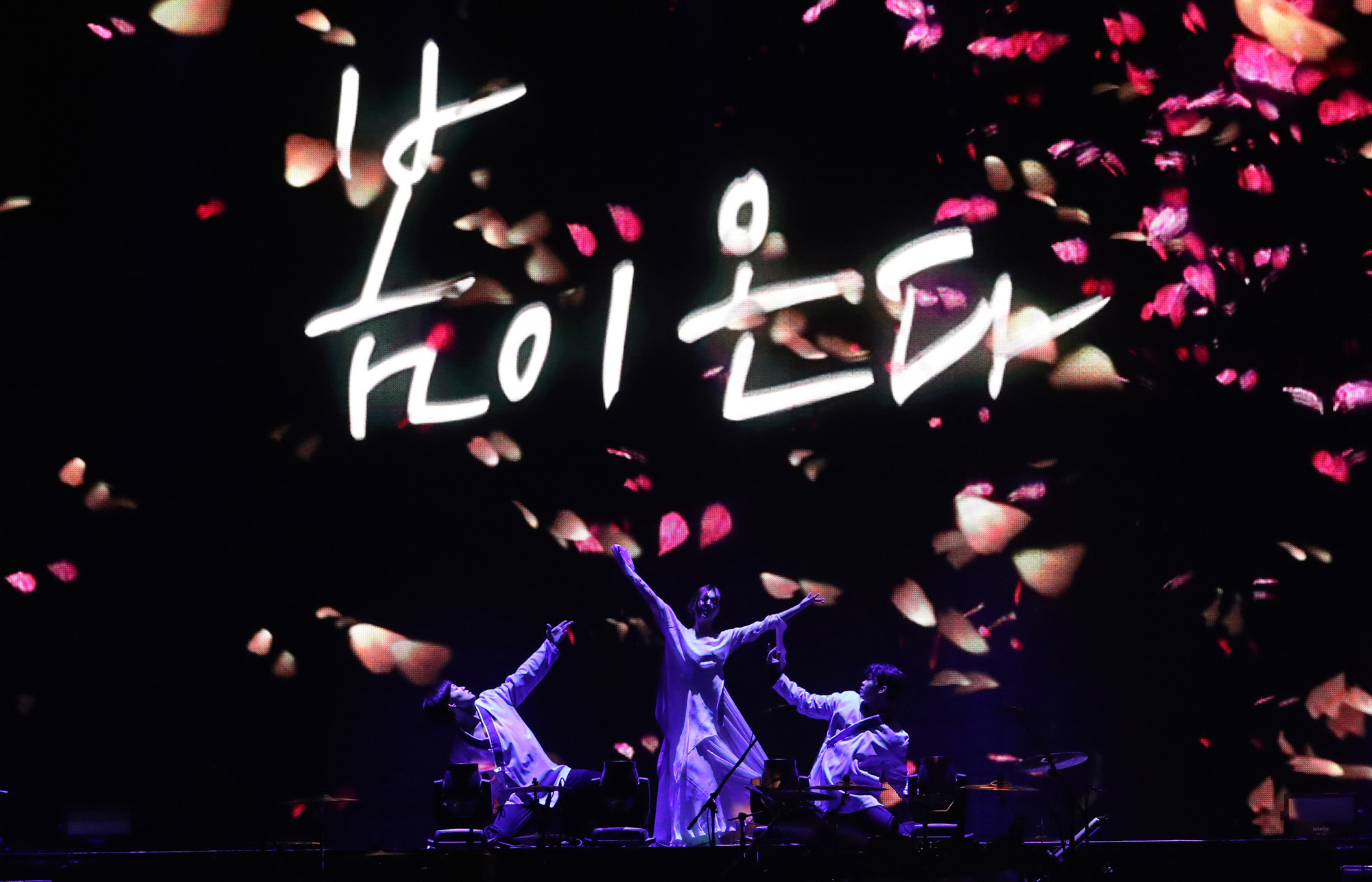 북한;평양;대중음악;공연;남북화합;조용필;이선희;레드벨벳;태권도