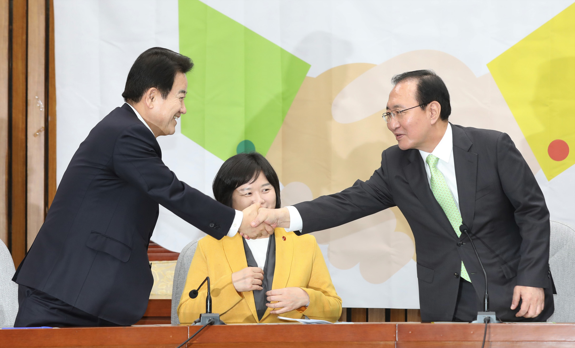 정치국회;평화와정의의의원모임;교섭단체;정의당;민주평화당