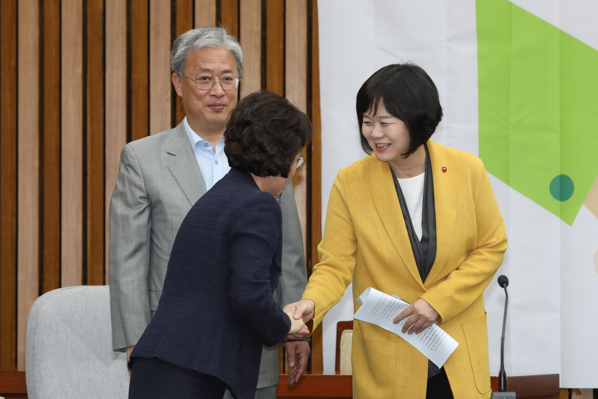 정치국회;평화와정의의의원모임;교섭단체;정의당;민주평화당