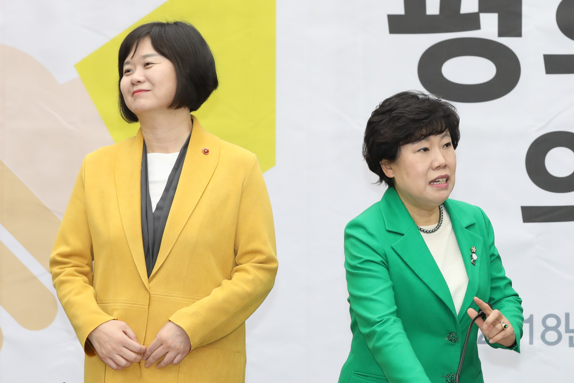 정치국회;평화와정의의의원모임;교섭단체;정의당;민주평화당