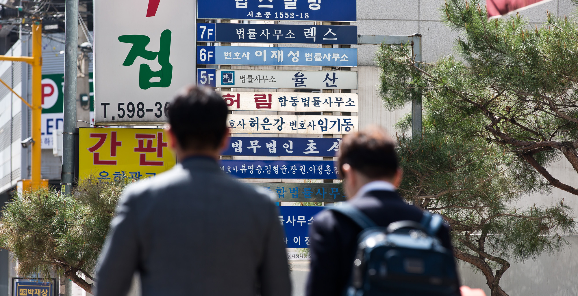 사회;법조;변호사;변호사시험;변시합격자;서초동법조타운;법조계;변호사사무실