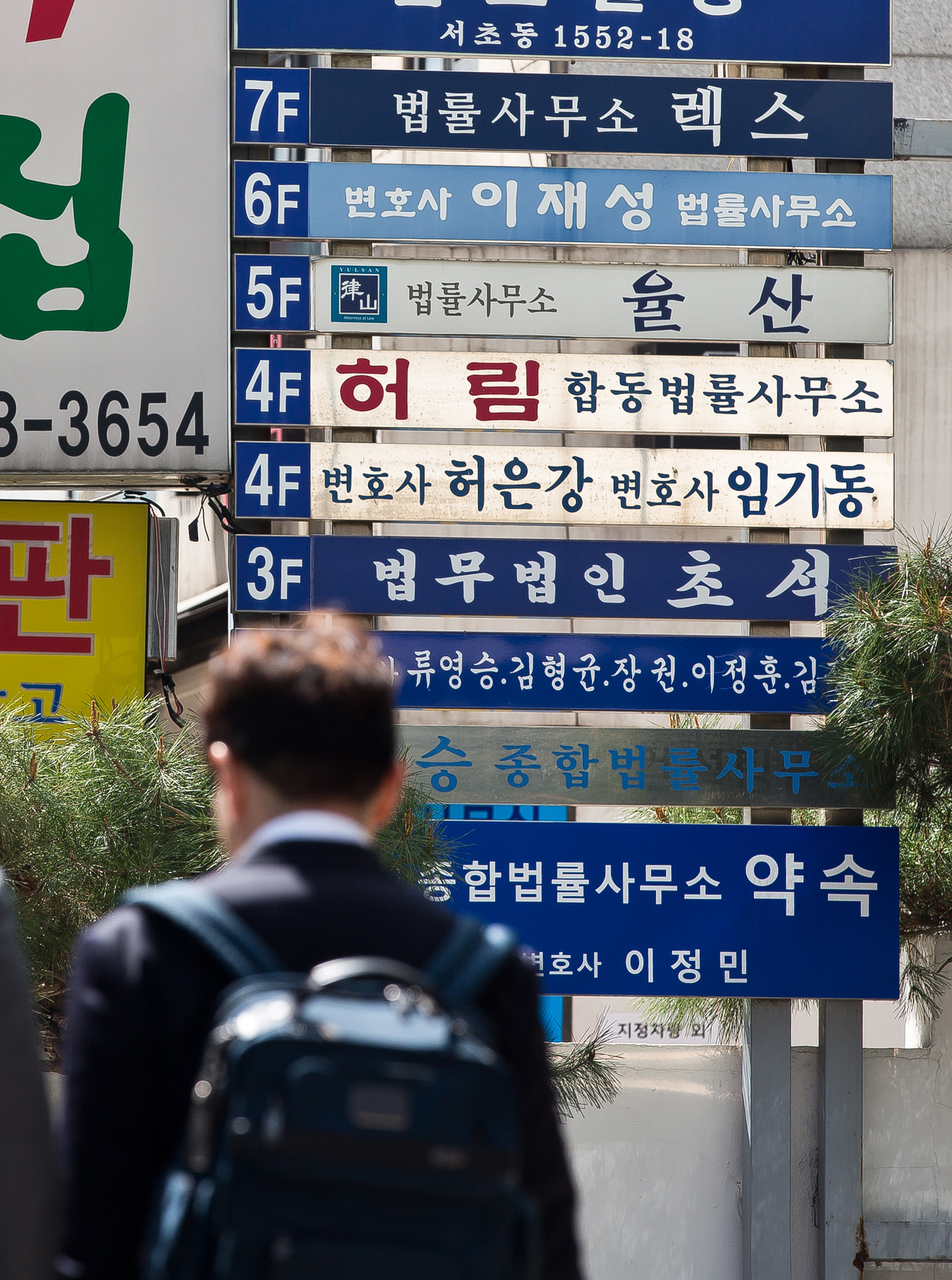 사회;법조;변호사;변호사시험;변시합격자;서초동법조타운;법조계;변호사사무실