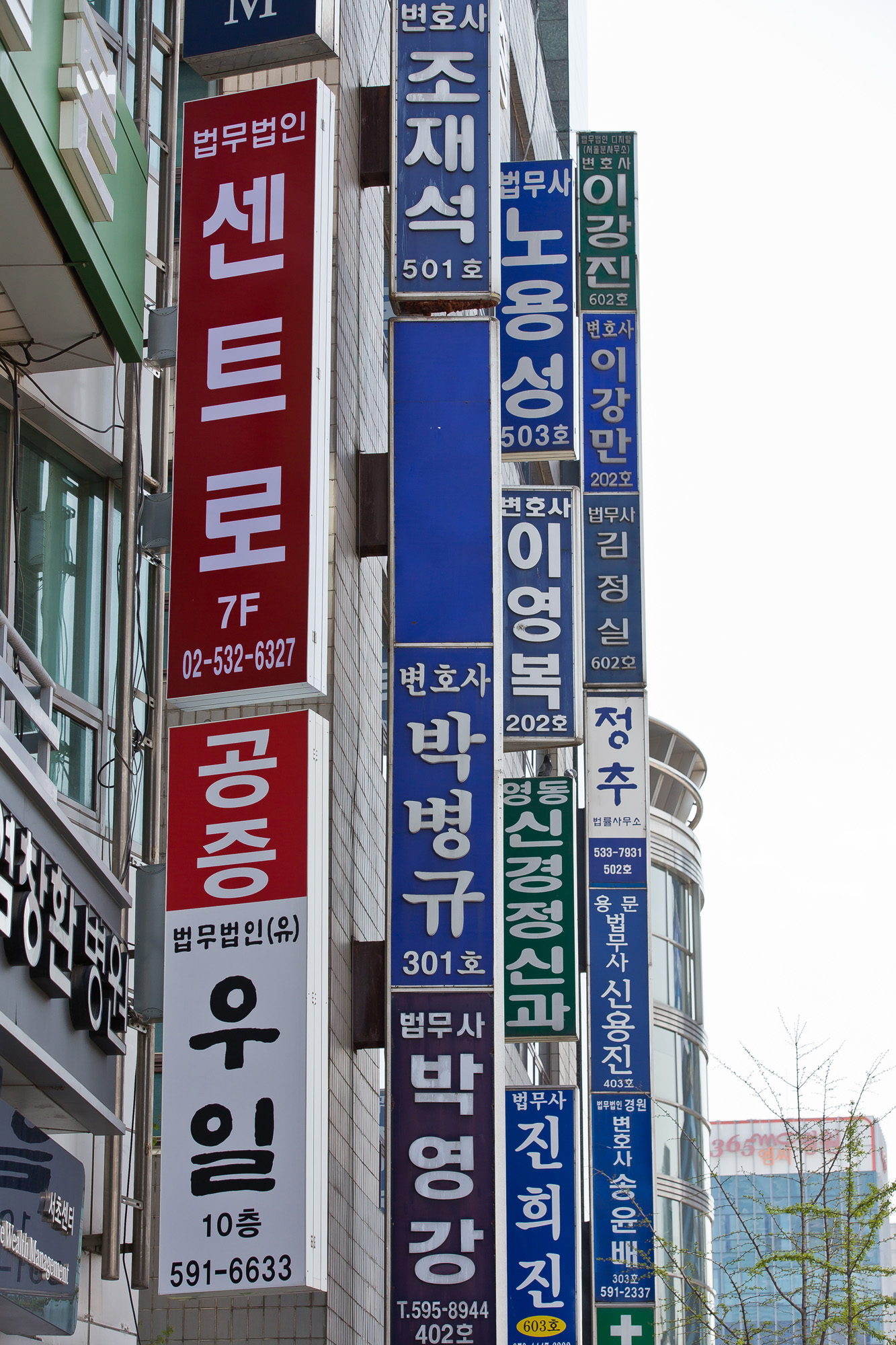 사회;법조;변호사;변호사시험;변시합격자;서초동법조타운;법조계;변호사사무실