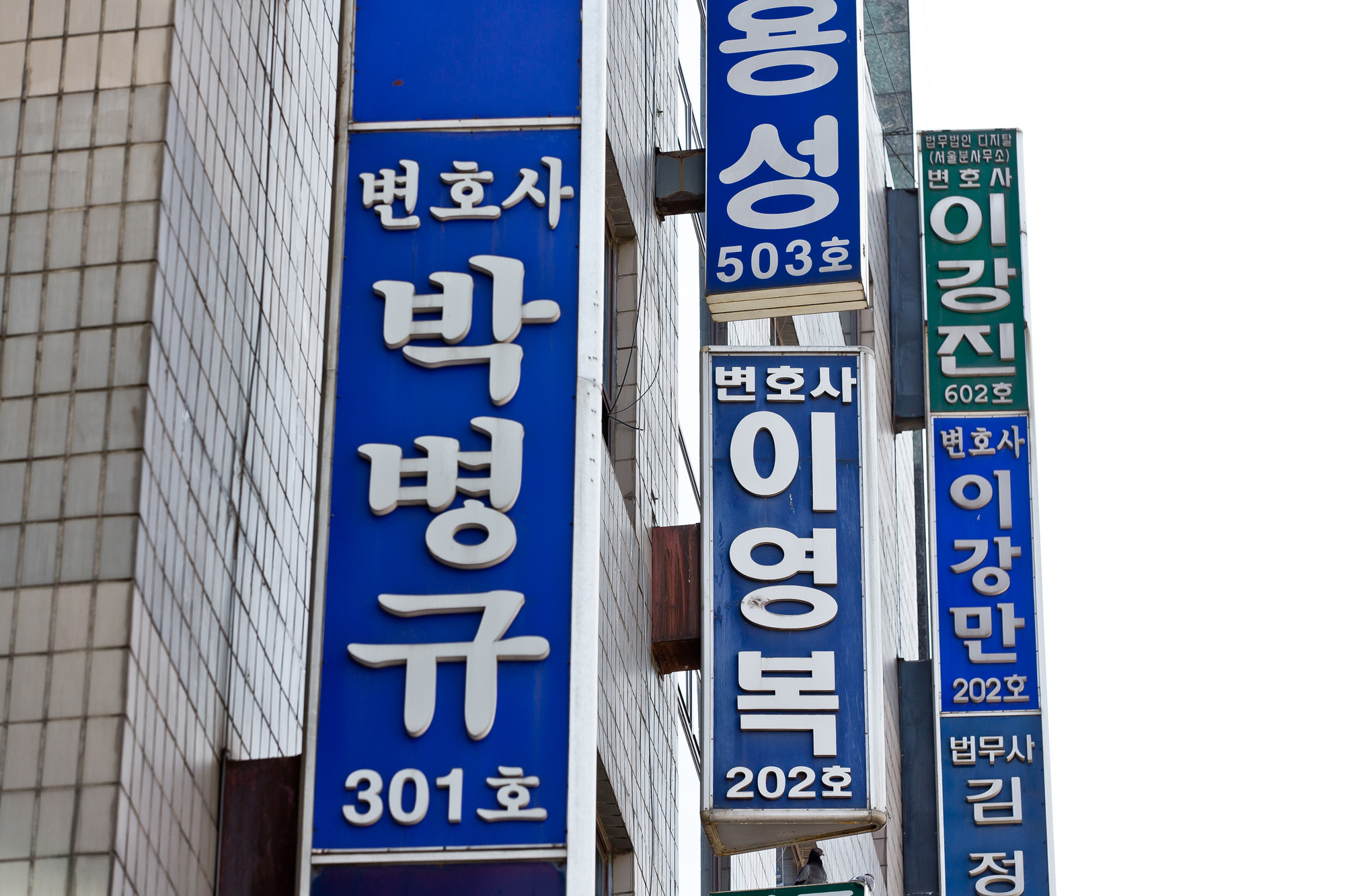 사회;법조;변호사;변호사시험;변시합격자;서초동법조타운;법조계;변호사사무실