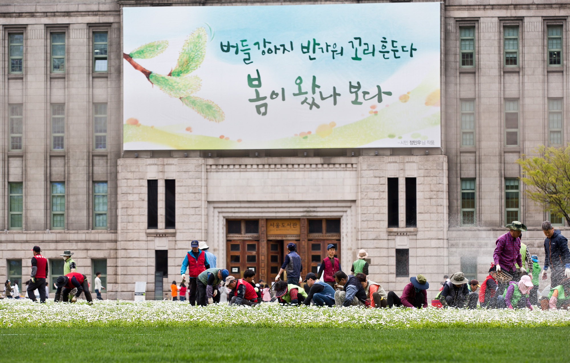 사회;세태;문화;한반도;한반도평화의꽃밭;한반도꽃밭;서울시청광장;남북정상회담