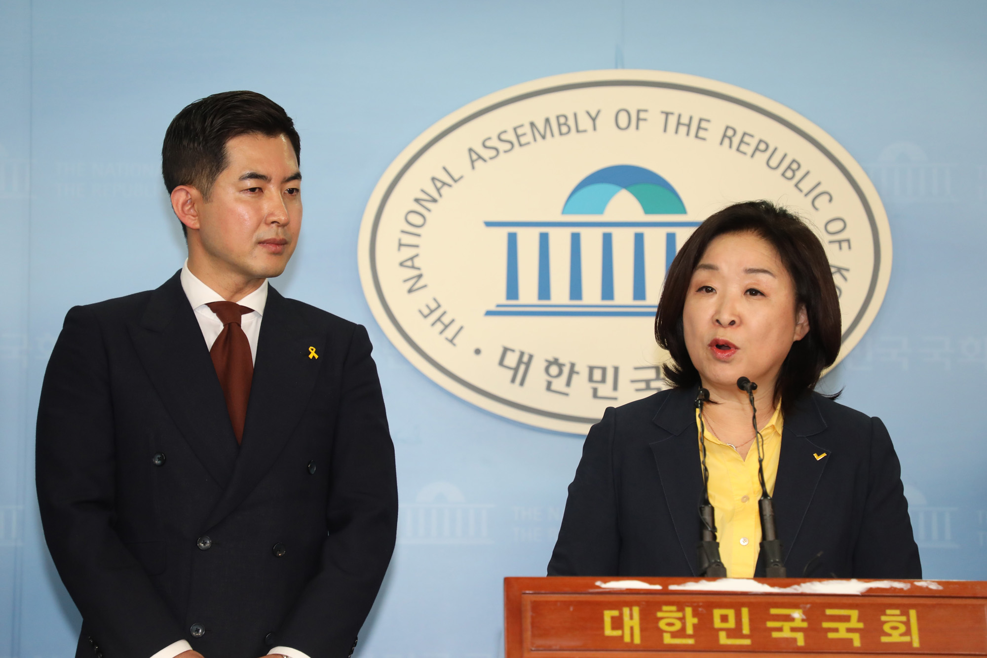 정치국회;대한항공갑질;박창진사무장;심상정의원