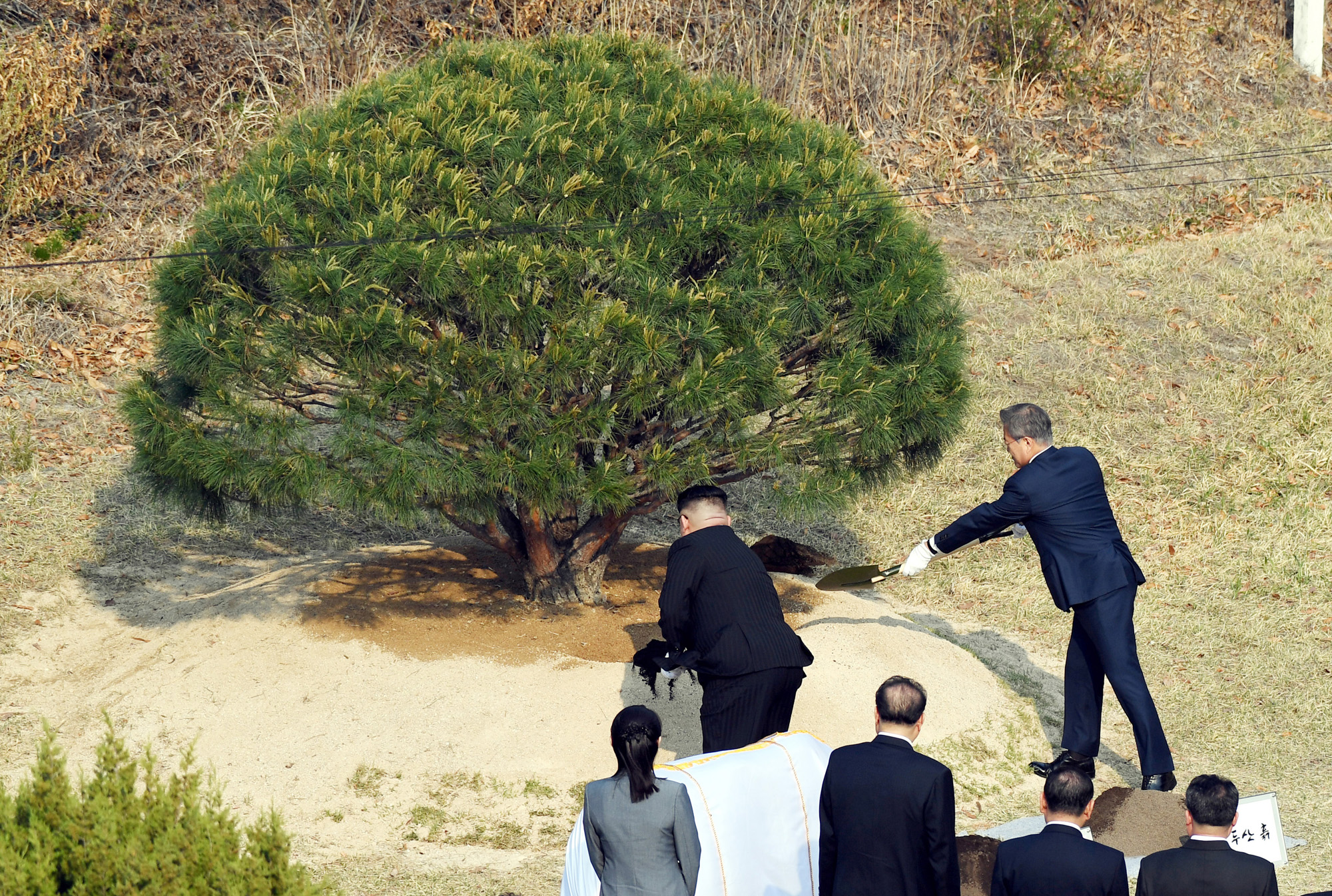 정치;국제;북한;남북정상회담;김정은;문재인