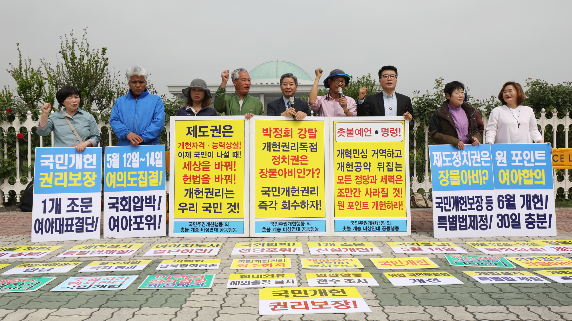 개헌실시;국민주권개헌행동;국민개헌특별법제정