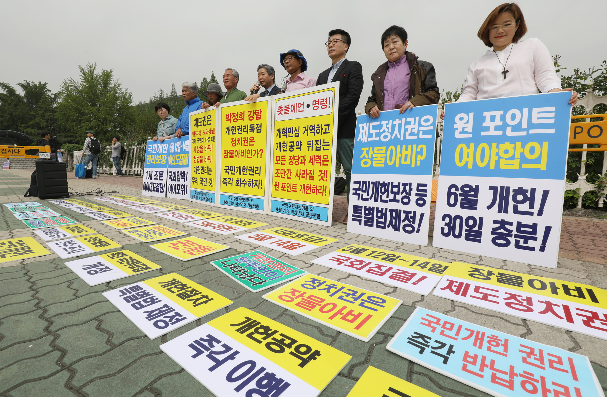 개헌실시;국민주권개헌행동;국민개헌특별법제정