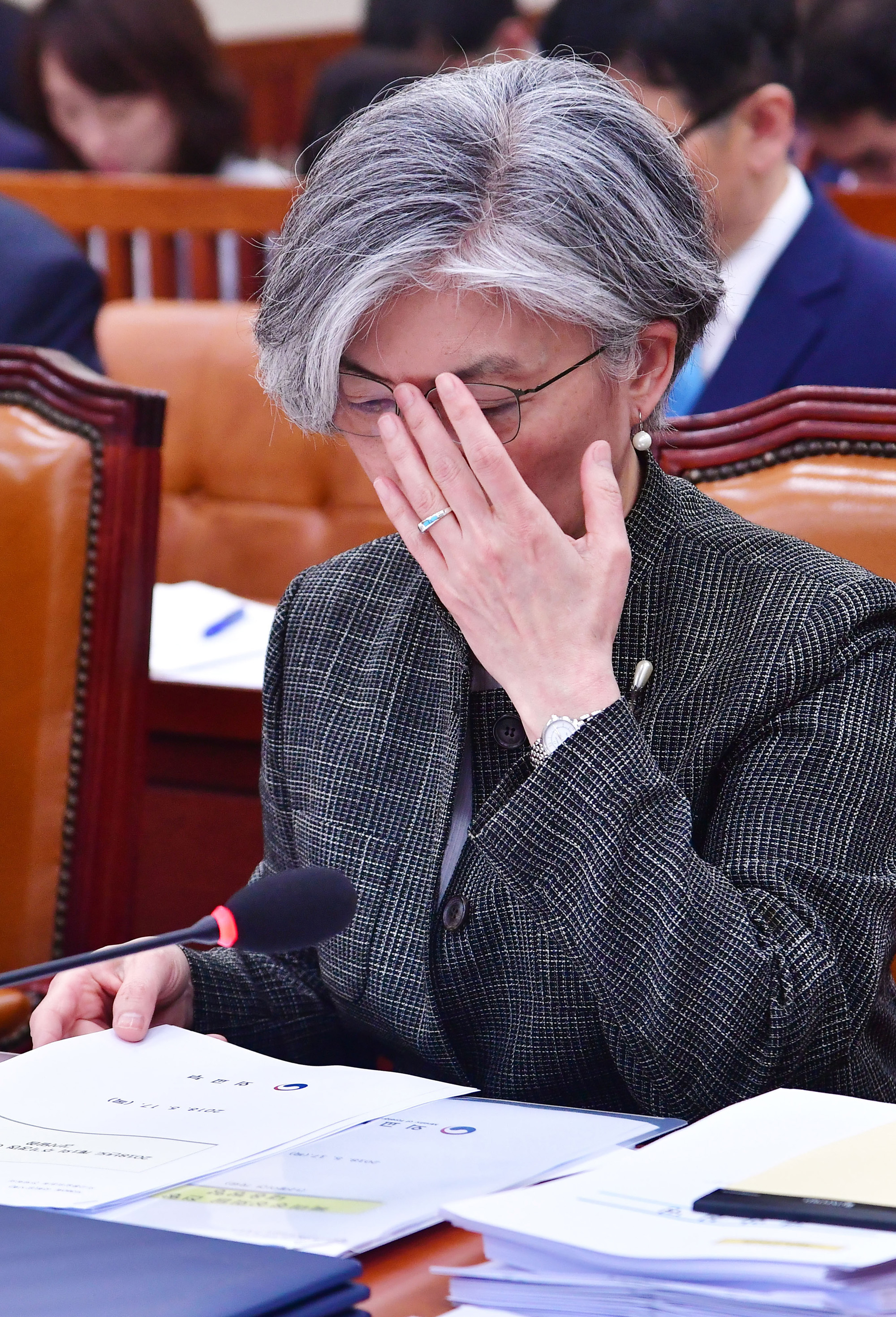 정치국회;외교통일위원회전체회의;강경화장관;조명균장관