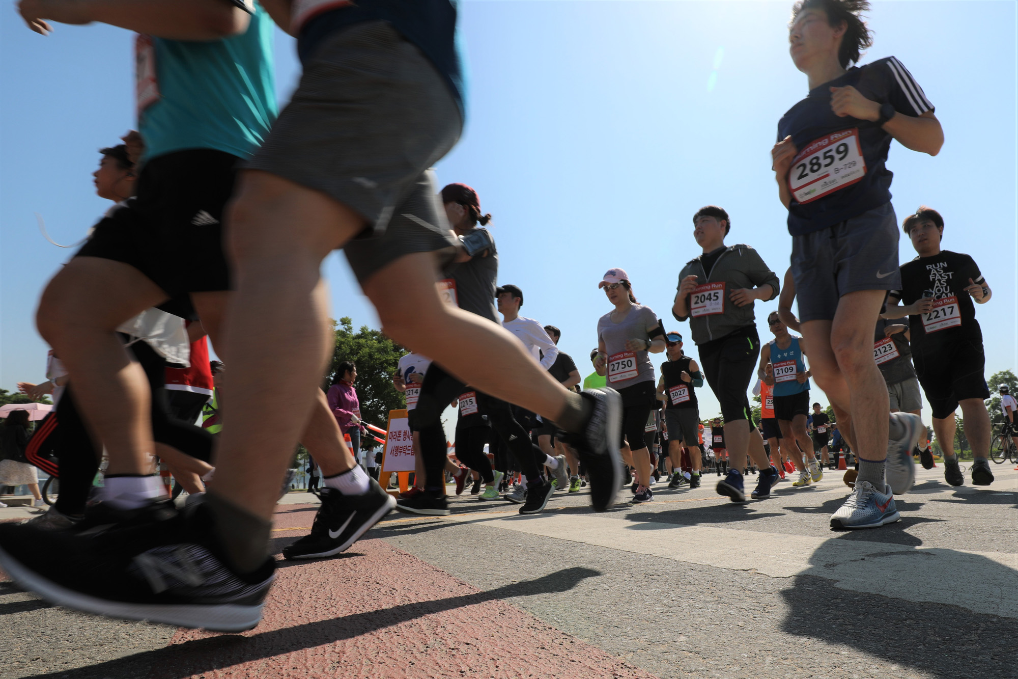 스포츠;버닝런2018;비즈한국마라톤