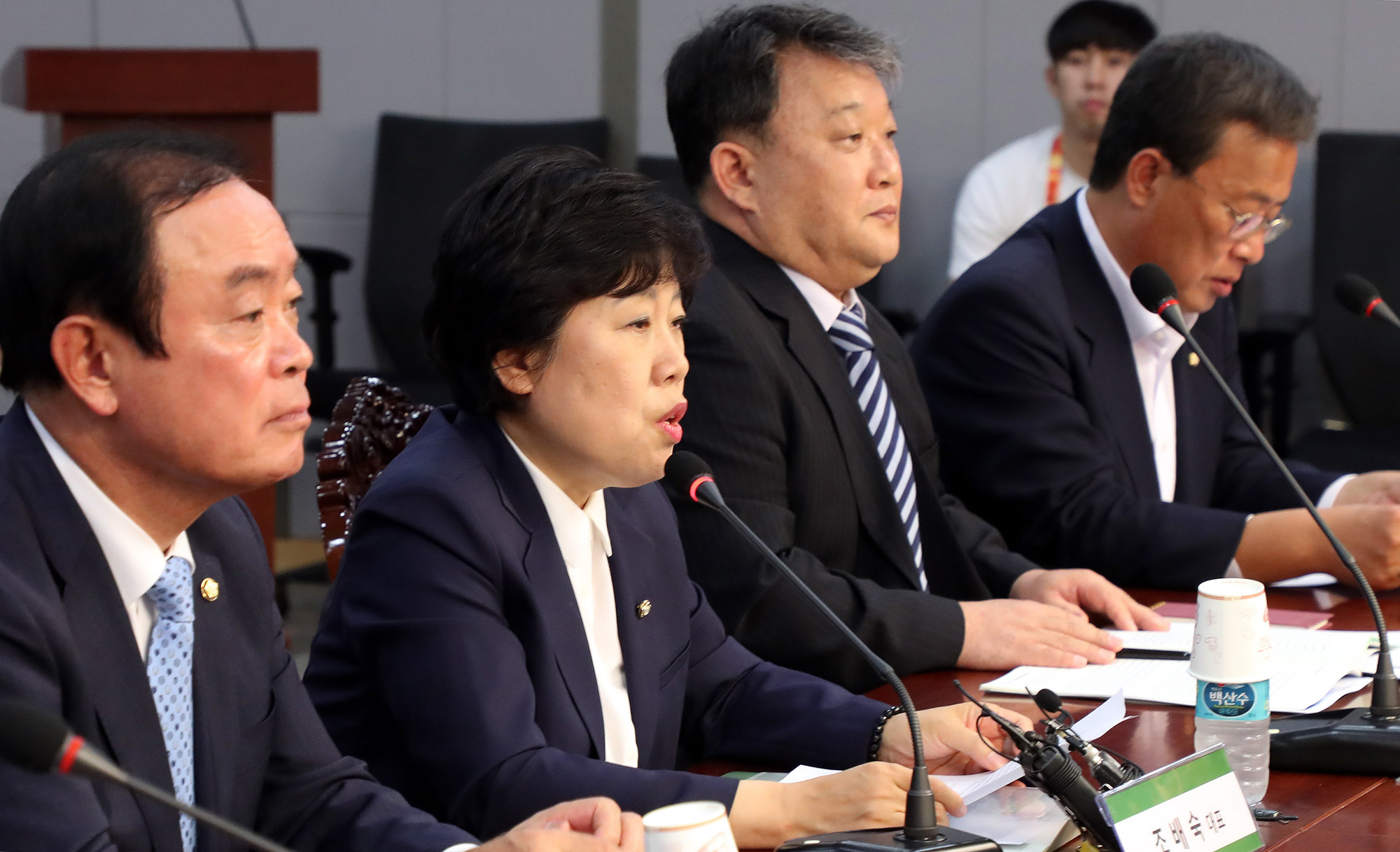 정치국회;민주평화당;조배숙대표