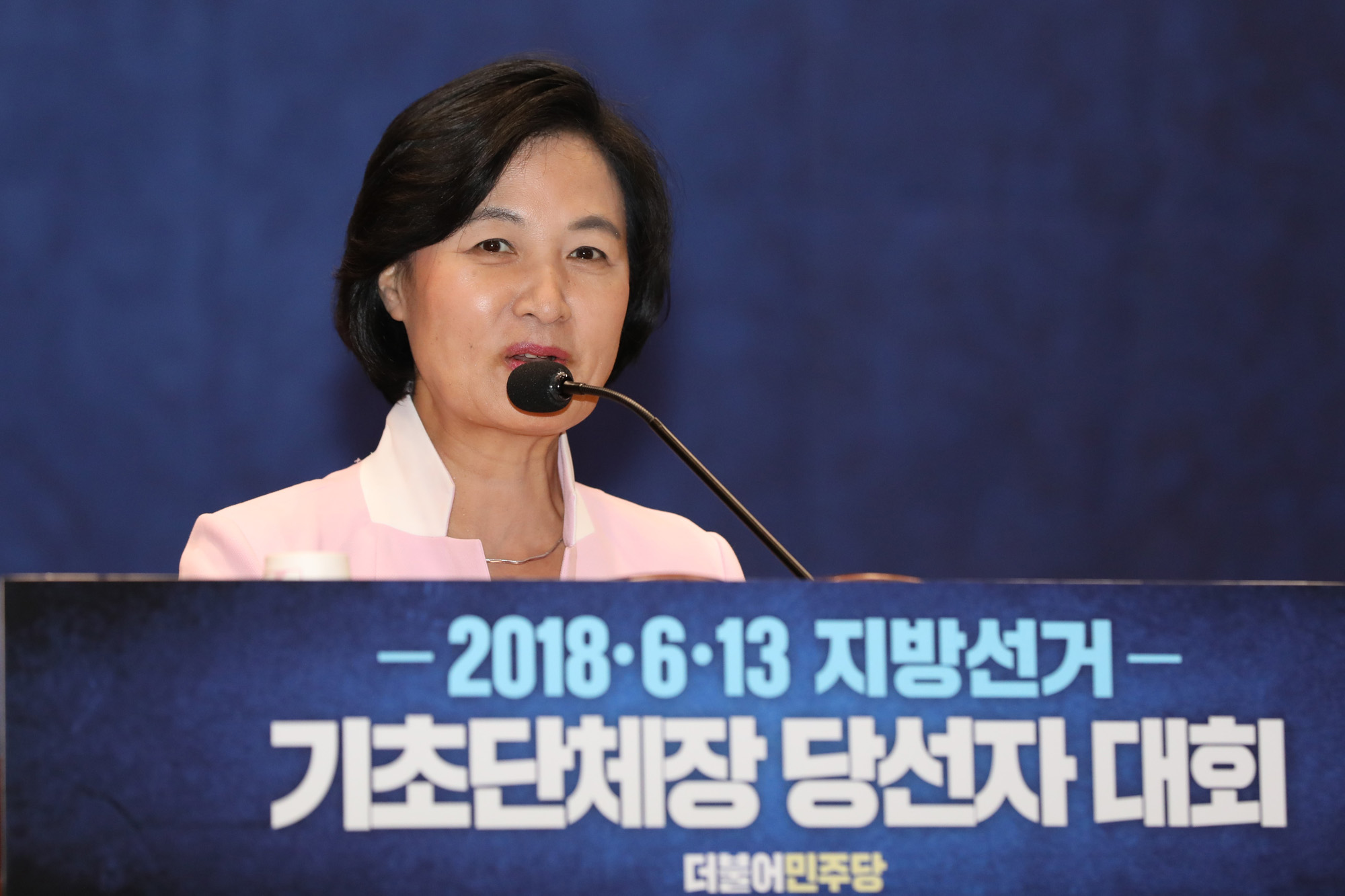 정치국회;더불어민주당;기초단체장당선자대회