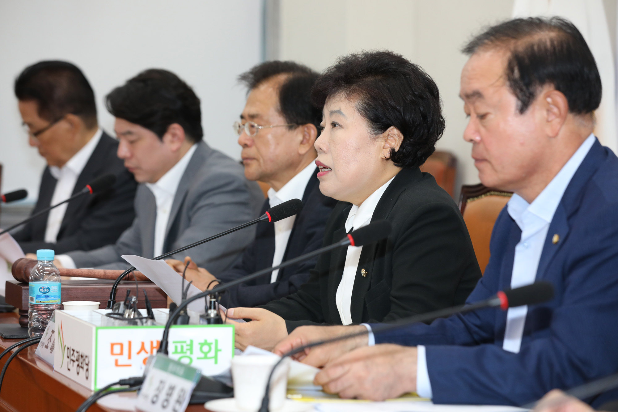 정치국회;민주평화당;조배숙대표