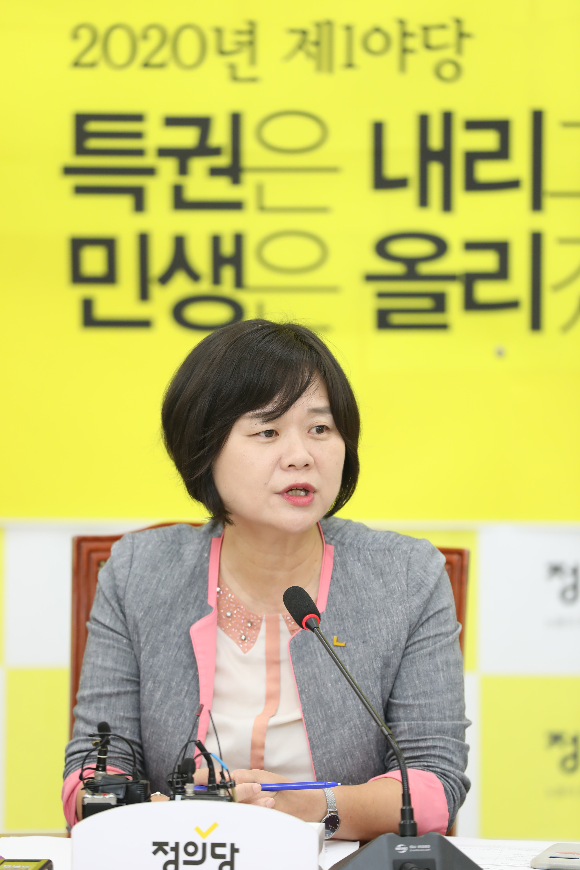 정치국회;이정미대표;정의당;이정미대표취임1주년