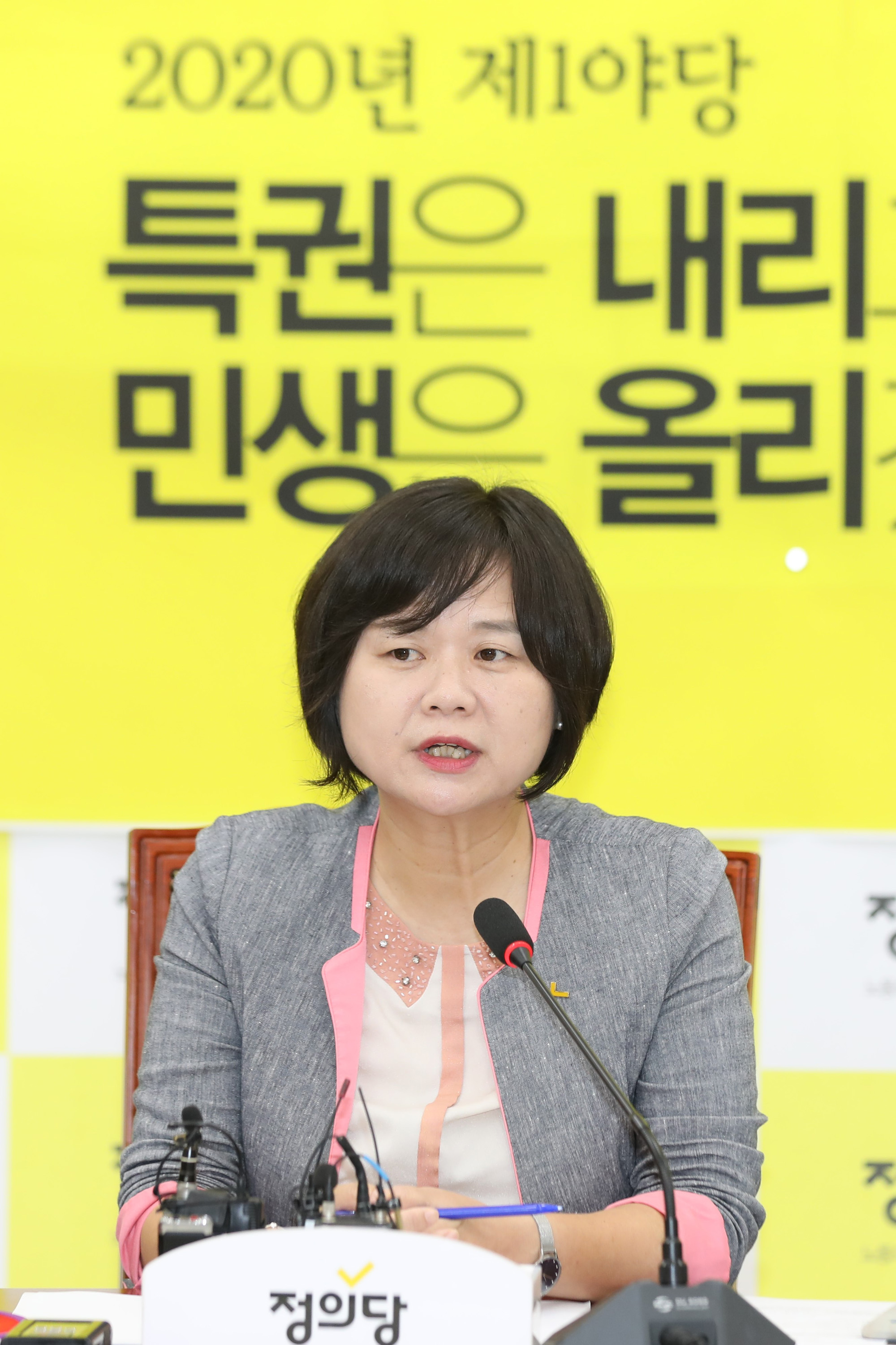 정치국회;이정미대표;정의당;이정미대표취임1주년