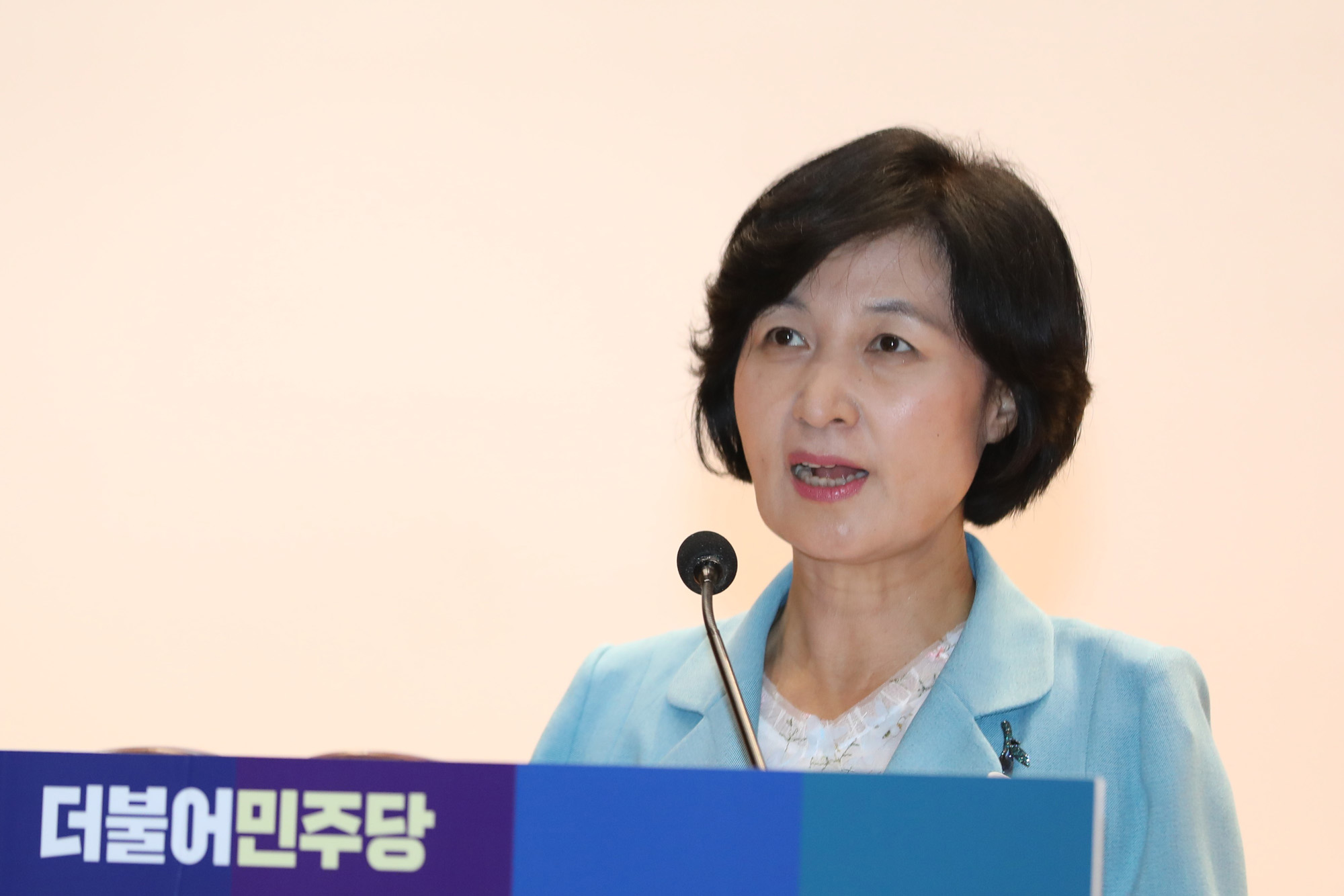 정치국회;더불어민주당중앙위원회;추미애대표