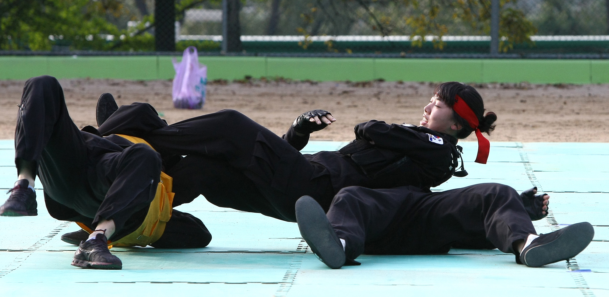 사회/국회/행정안전위원회/경찰특공대/G20/대태