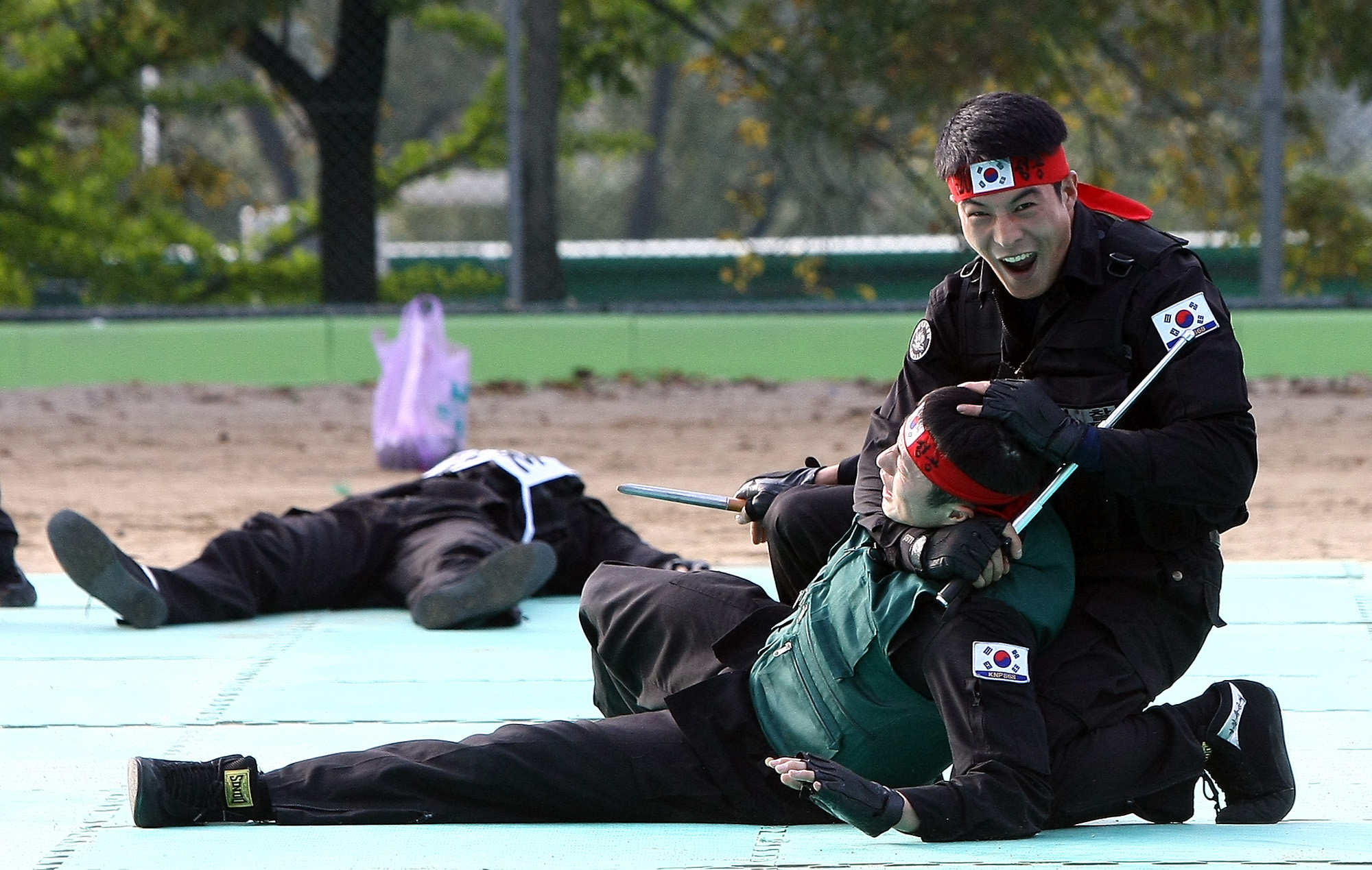 사회/국회/행정안전위원회/경찰특공대/G20/대태