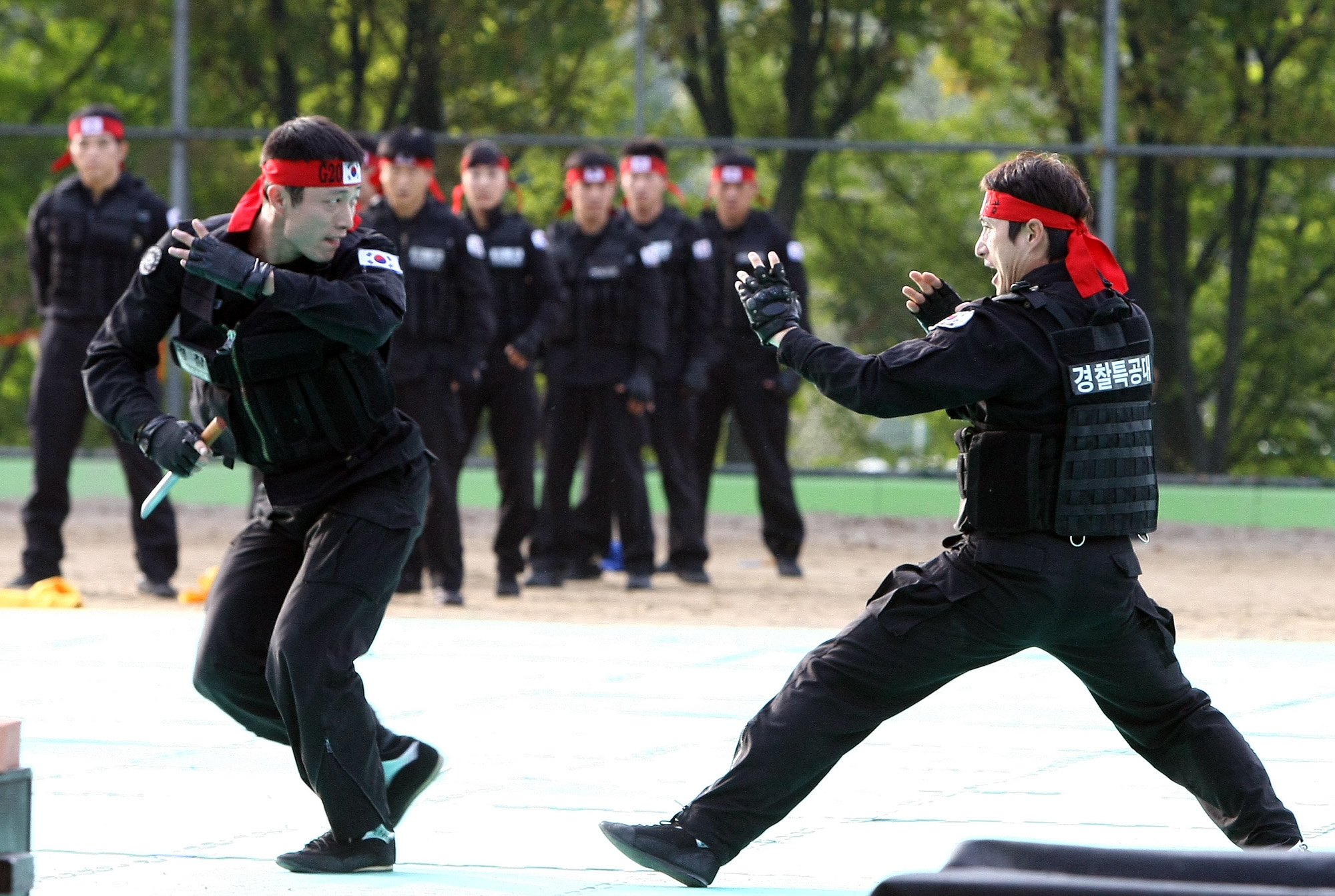 사회/국회/행정안전위원회/경찰특공대/G20/대태