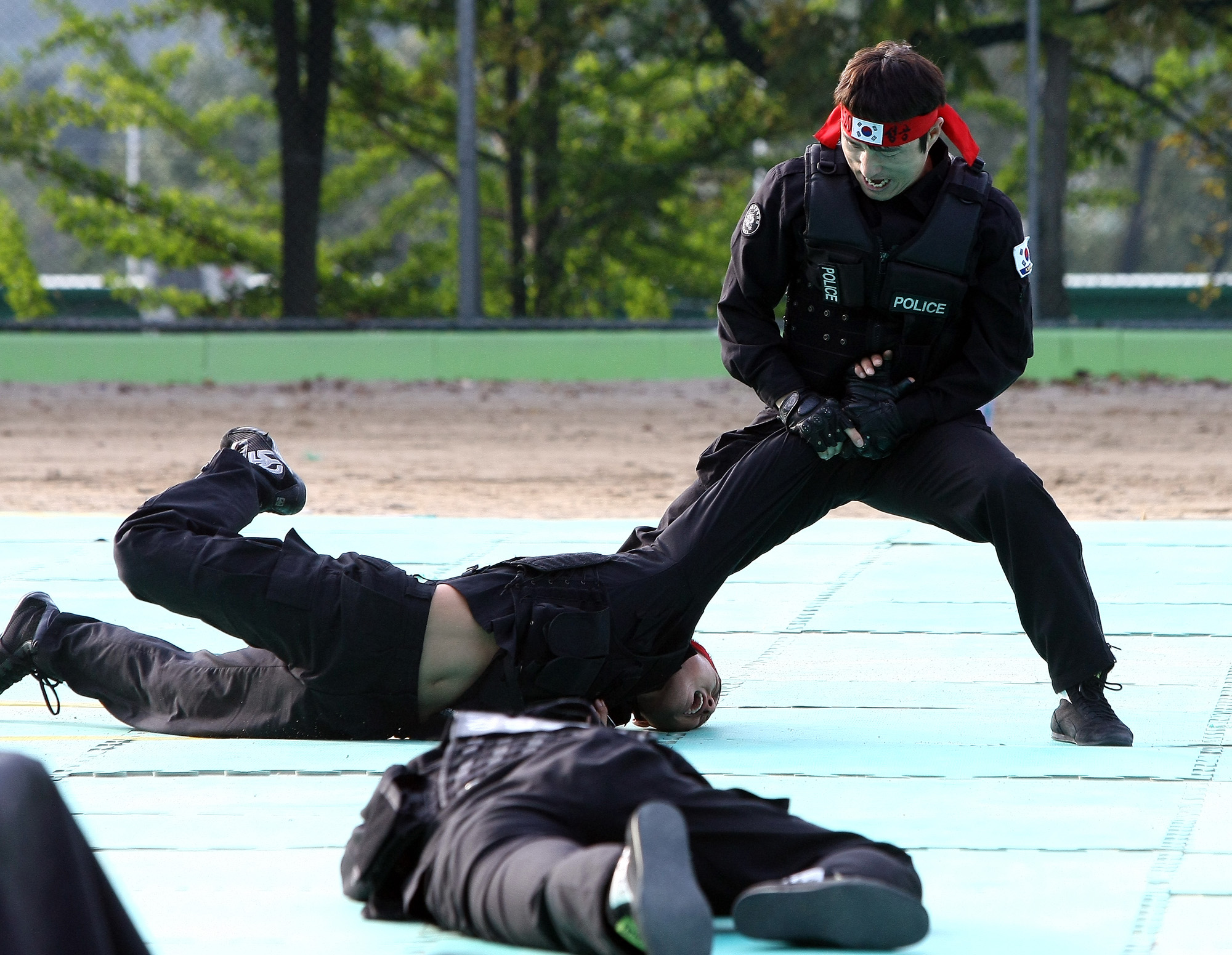 사회/국회/행정안전위원회/경찰특공대/G20/대태