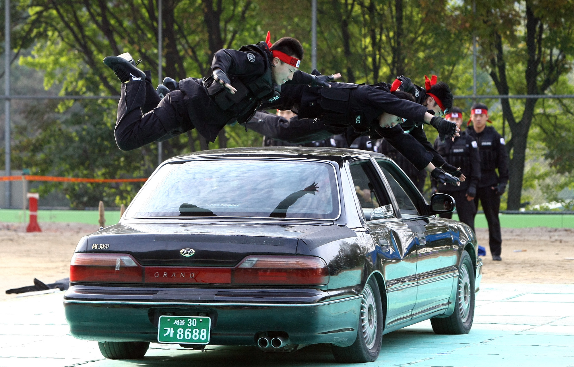 사회/국회/행정안전위원회/경찰특공대/G20/대태