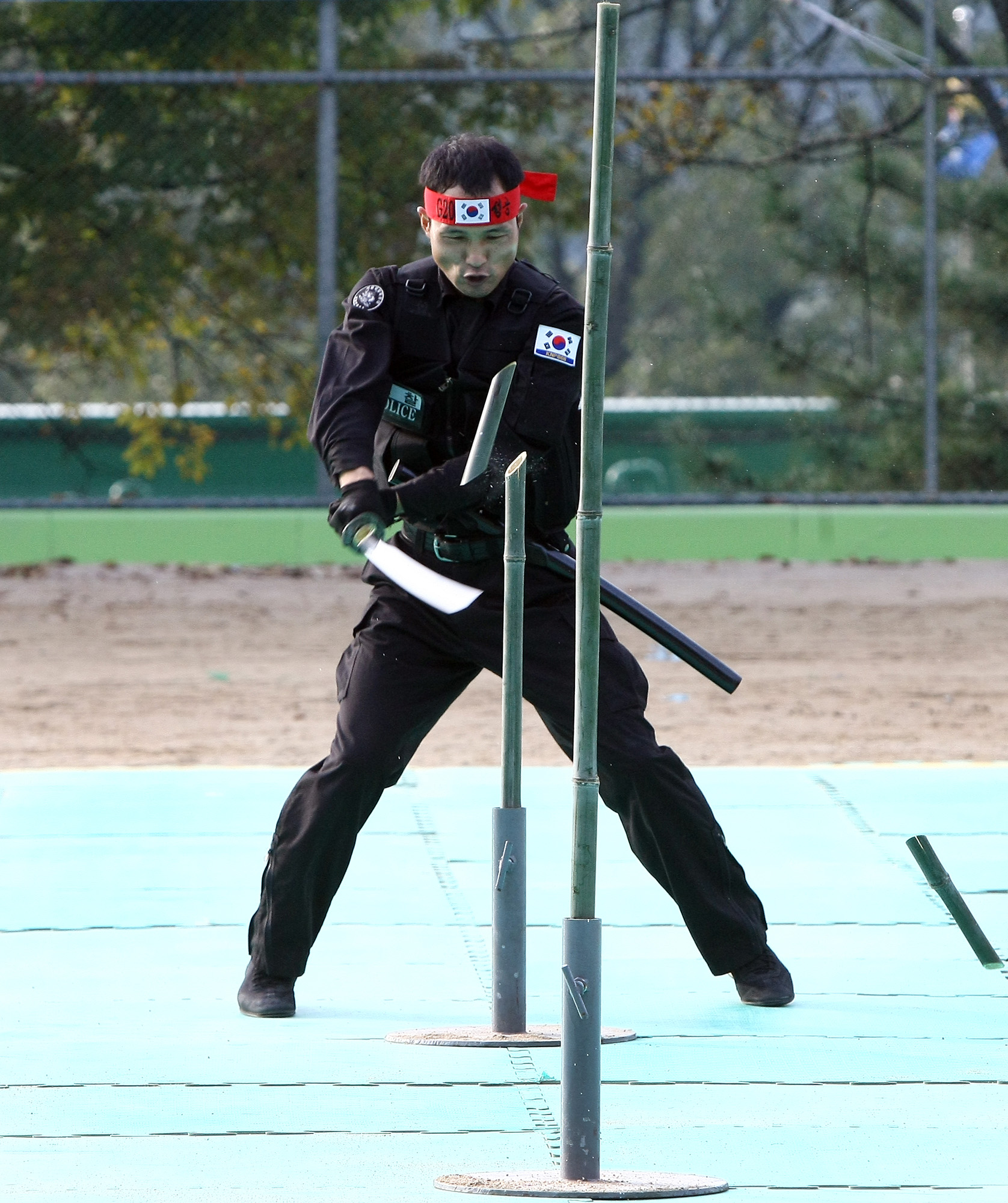 사회/국회/행정안전위원회/경찰특공대/G20/대태