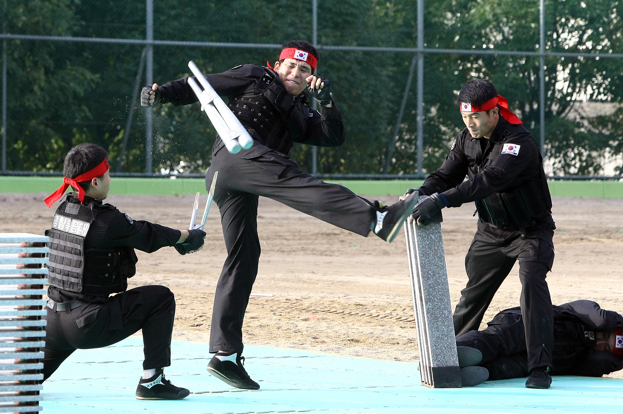 사회/국회/행정안전위원회/경찰특공대/G20/대태