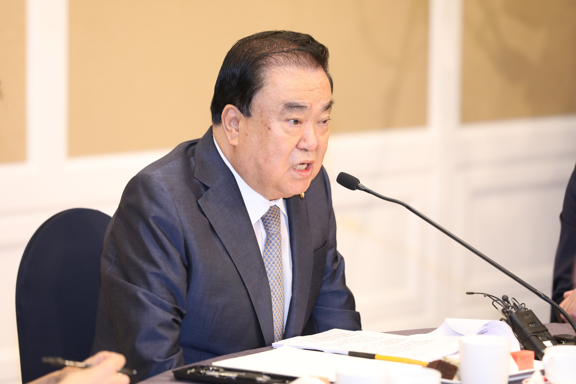 정치국회;국회의장취임;문희상국회의장