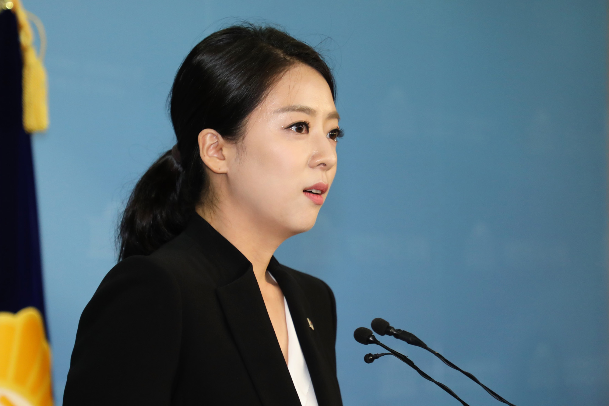 정치국회;자유한국당비대위;배현진대변인