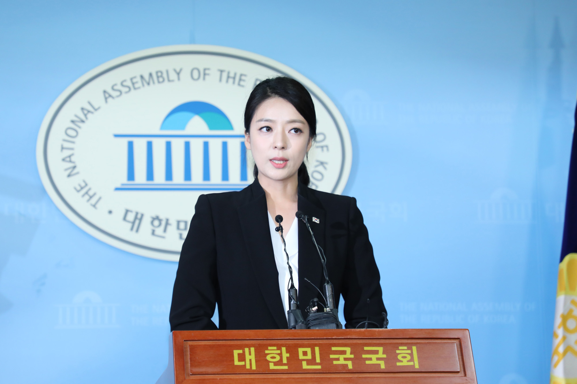 정치국회;자유한국당비대위;배현진대변인