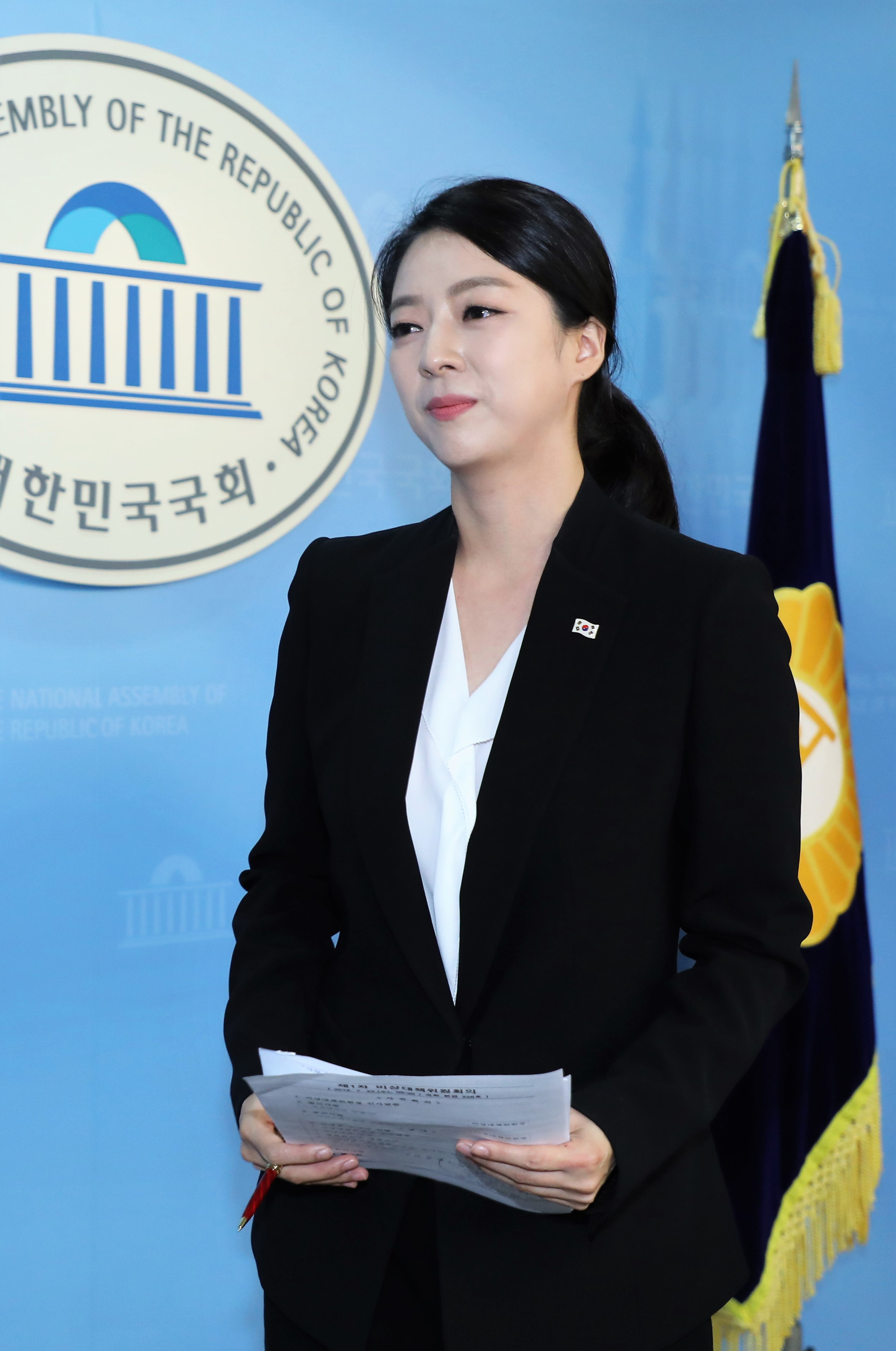 정치국회;자유한국당비대위;배현진대변인