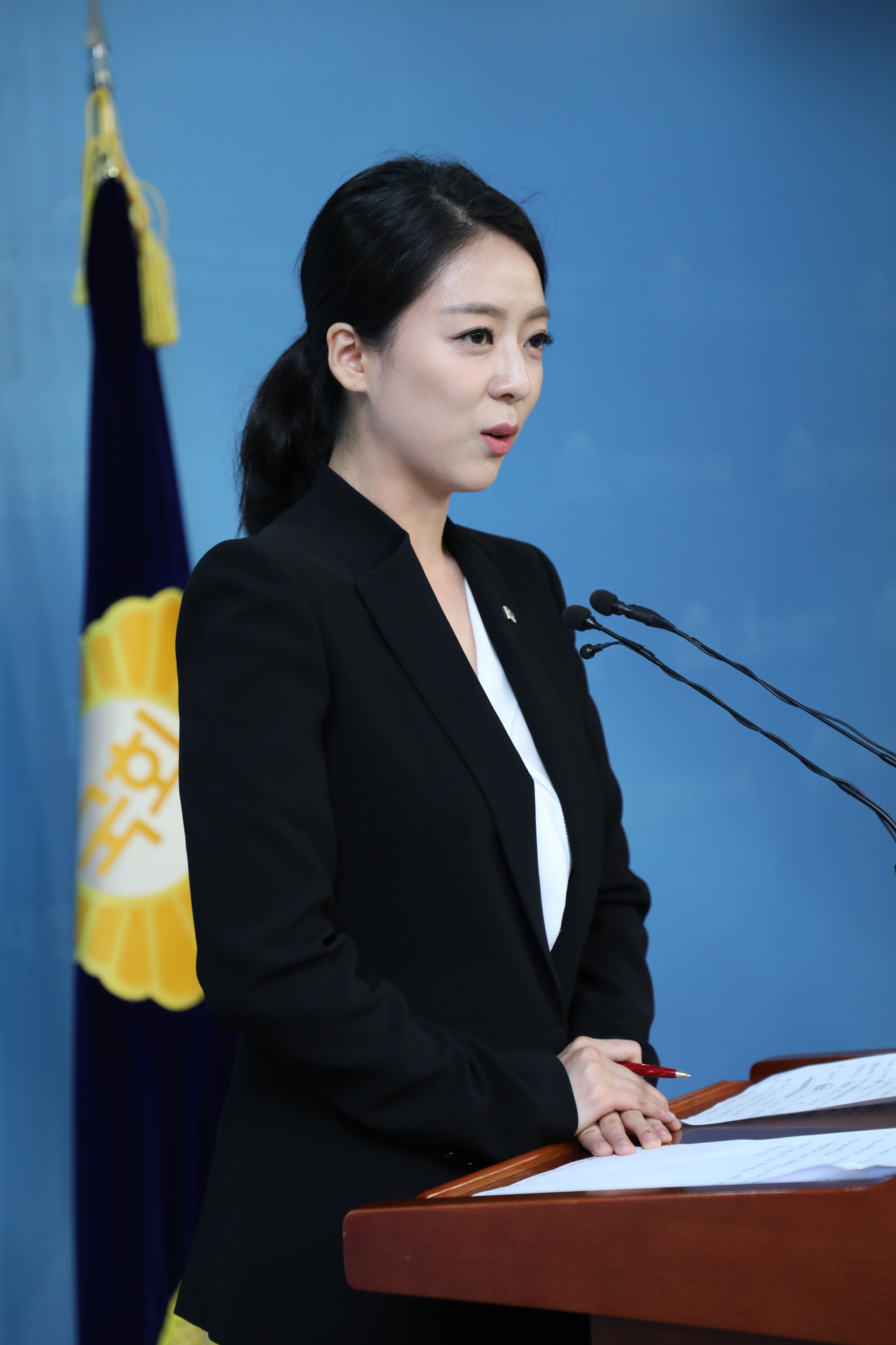 정치국회;자유한국당비대위;배현진대변인