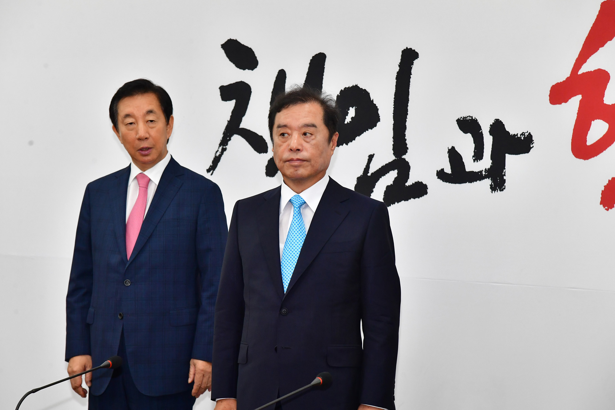 정치국회;자유한국당;비상대책위원회;김병준위원장;김성태원내대표