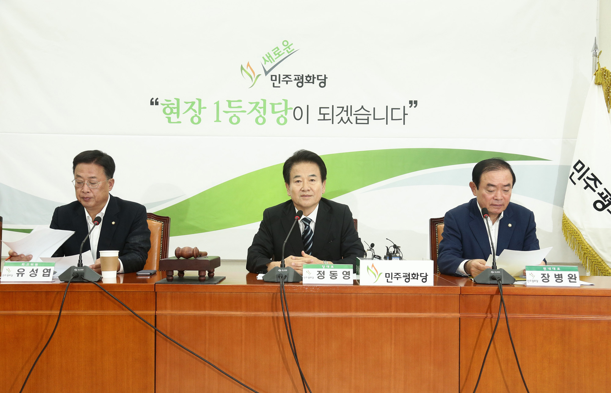 정치국회;민주평화당;정동영대표