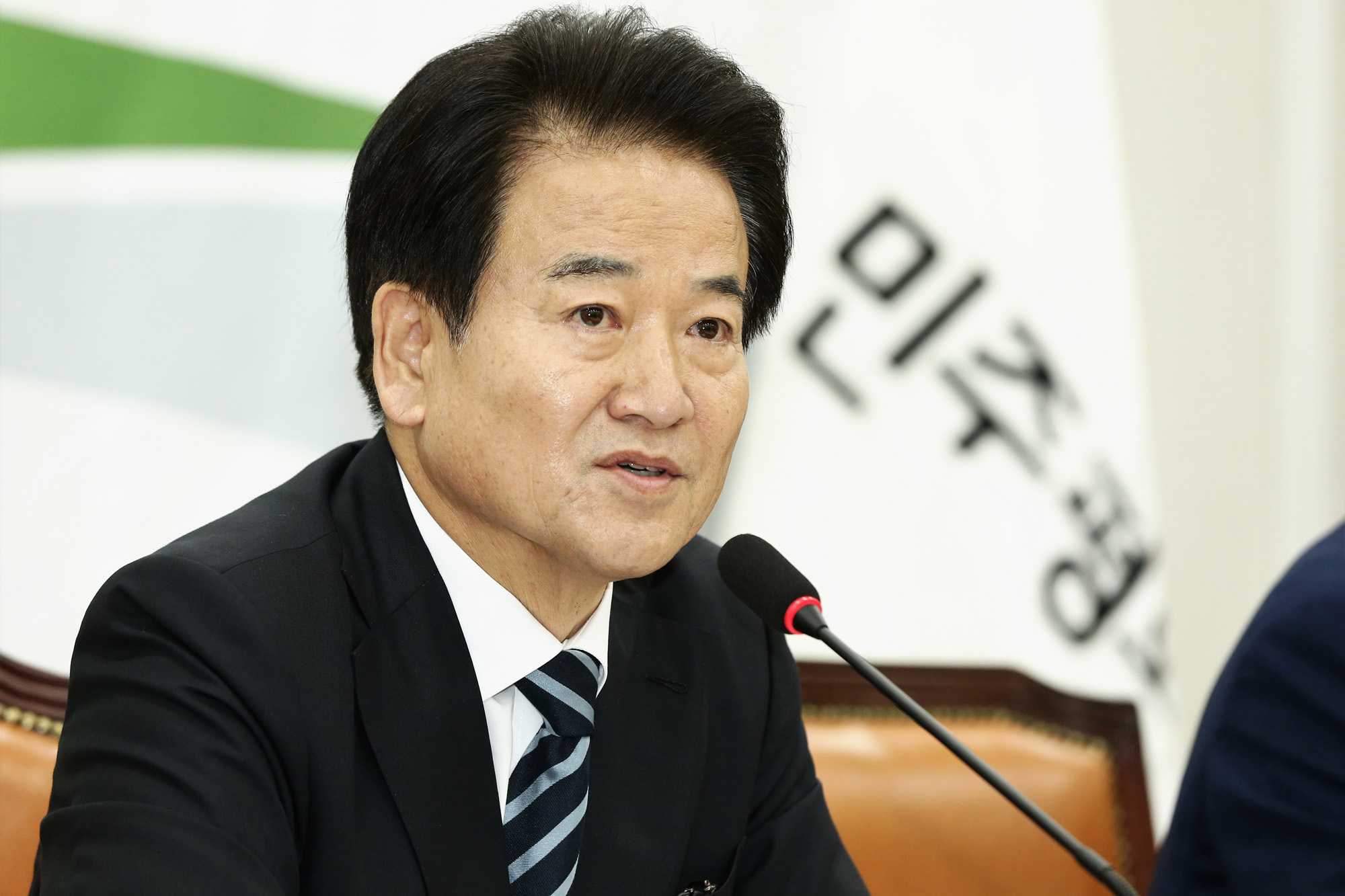 정치국회;민주평화당;정동영대표