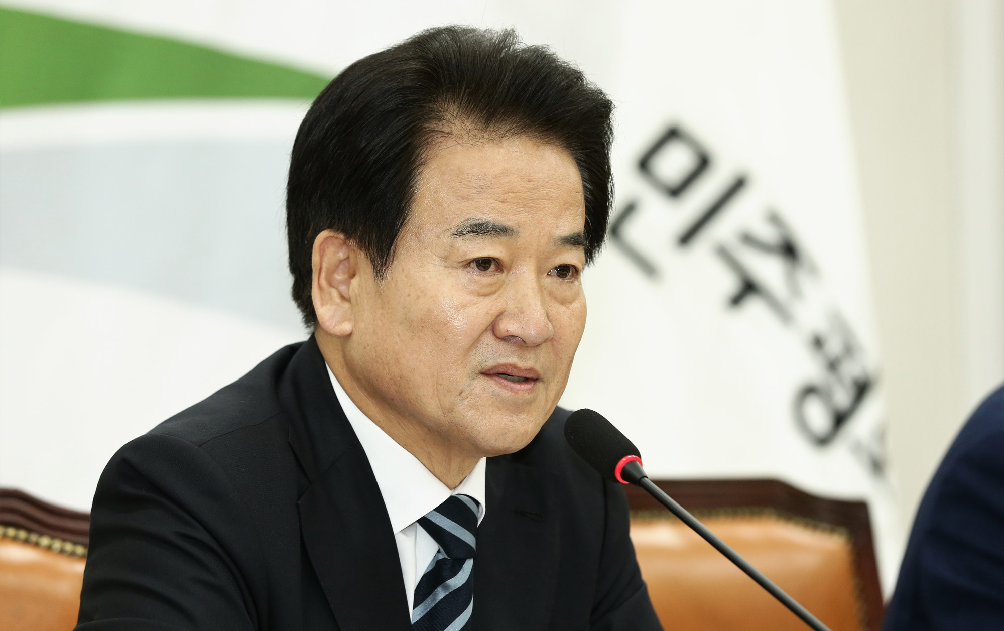 정치국회;민주평화당;정동영대표
