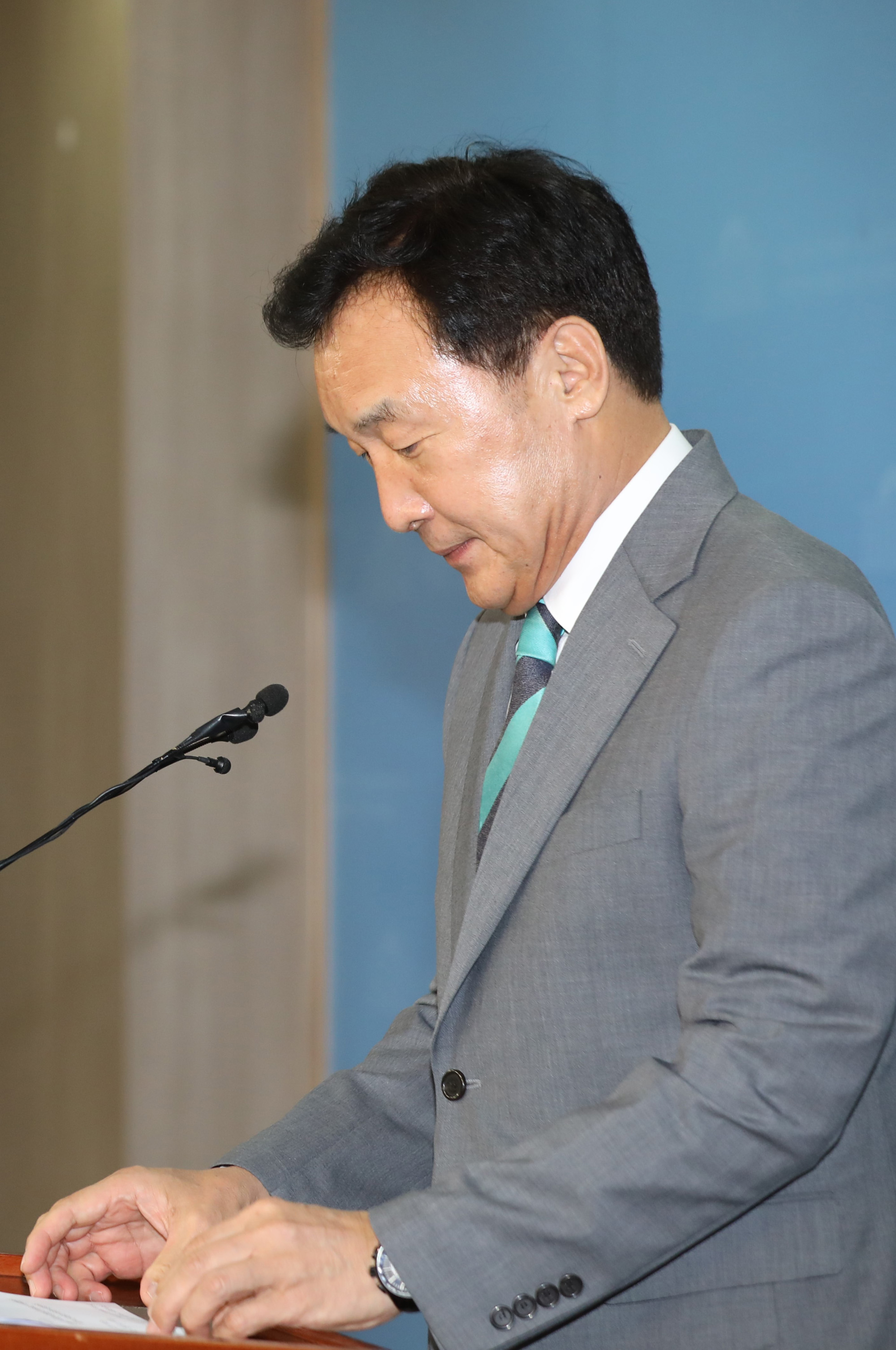 정치국회;손학규;바른미래당대표출마선언