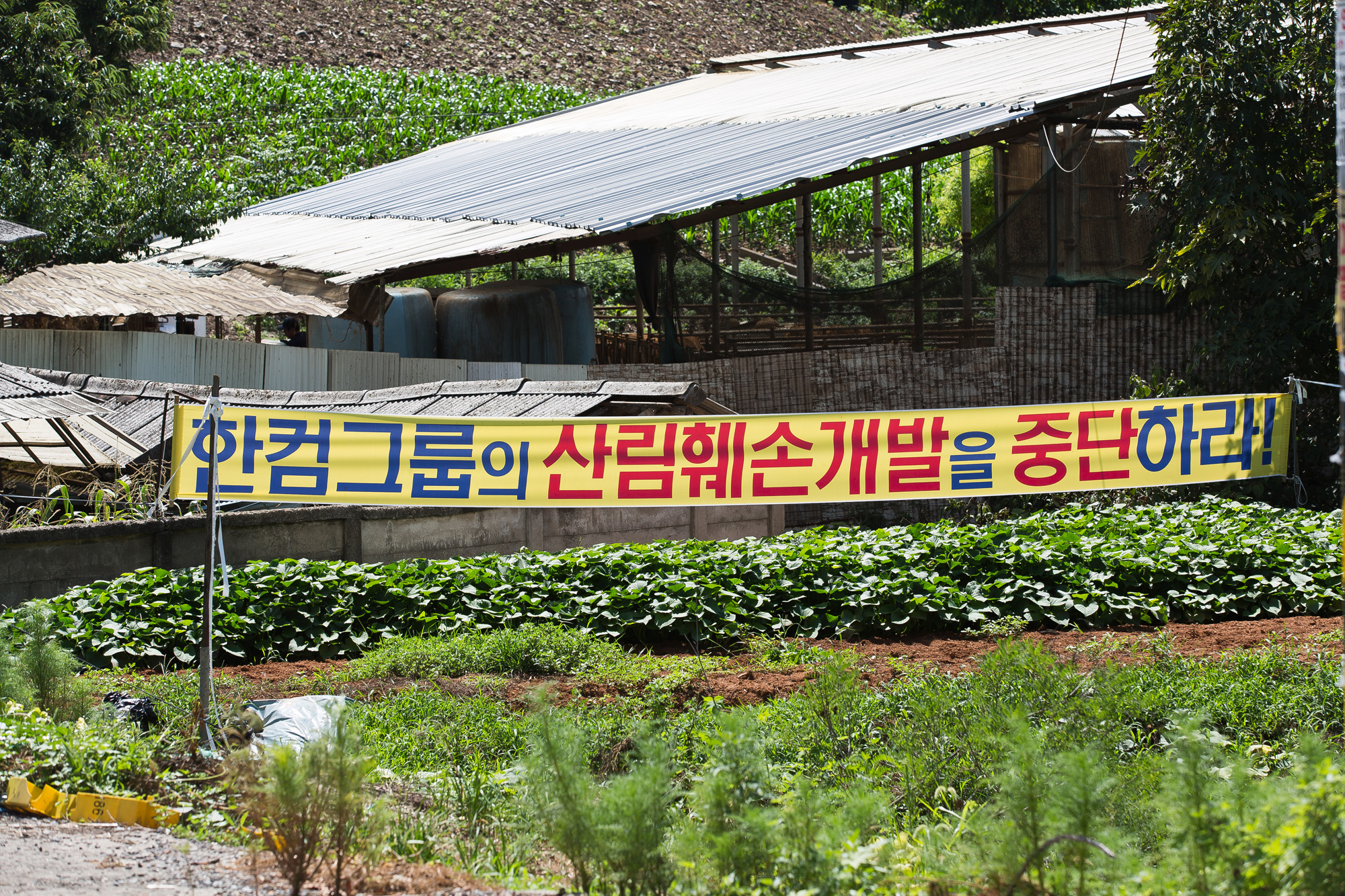 경제;사회;기업;IT기업;한글과컴퓨터;한컴;한컴마루;불법공사;불법삼림훼손