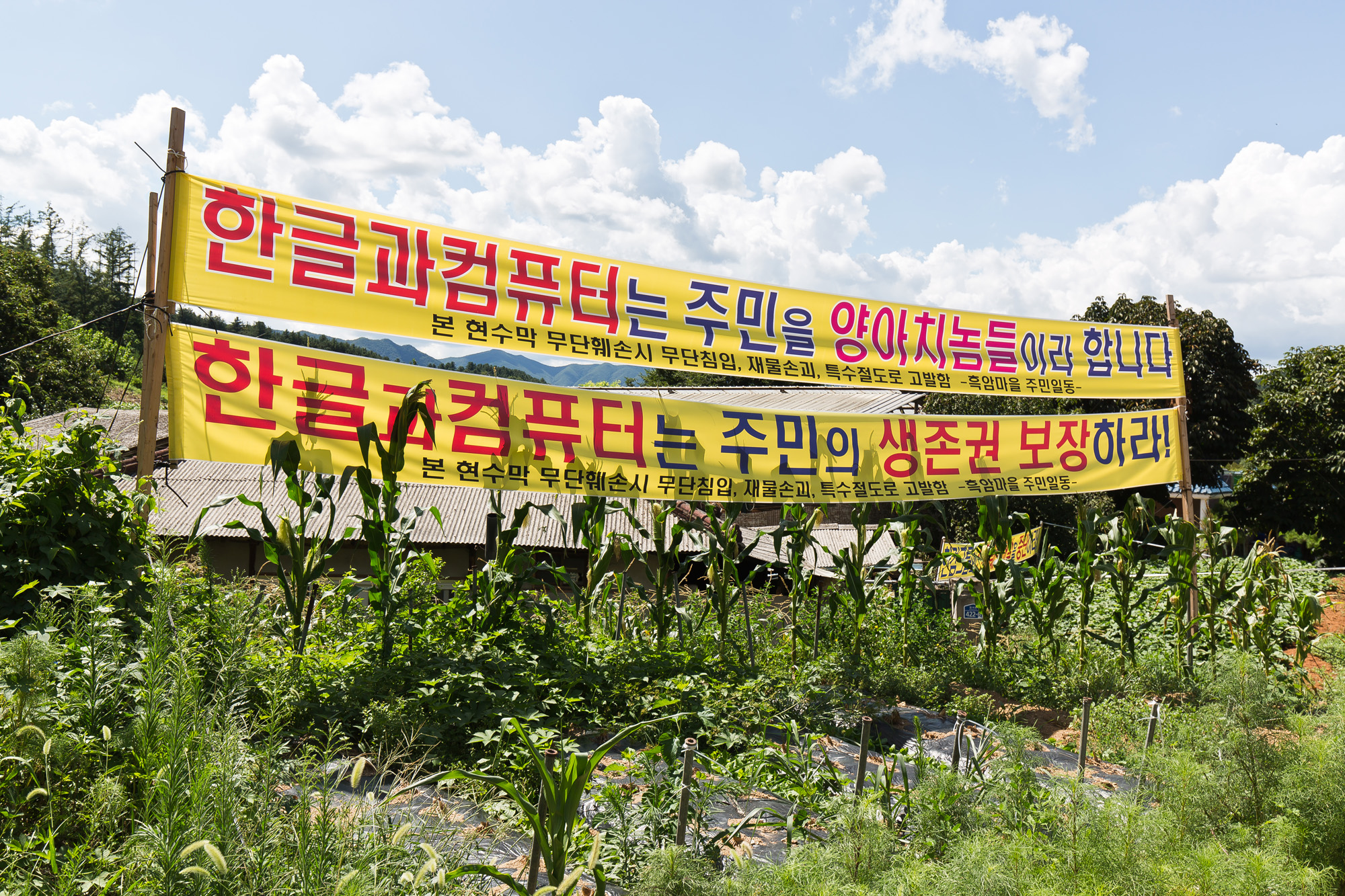 경제;사회;기업;IT기업;한글과컴퓨터;한컴;한컴마루;불법공사;불법삼림훼손