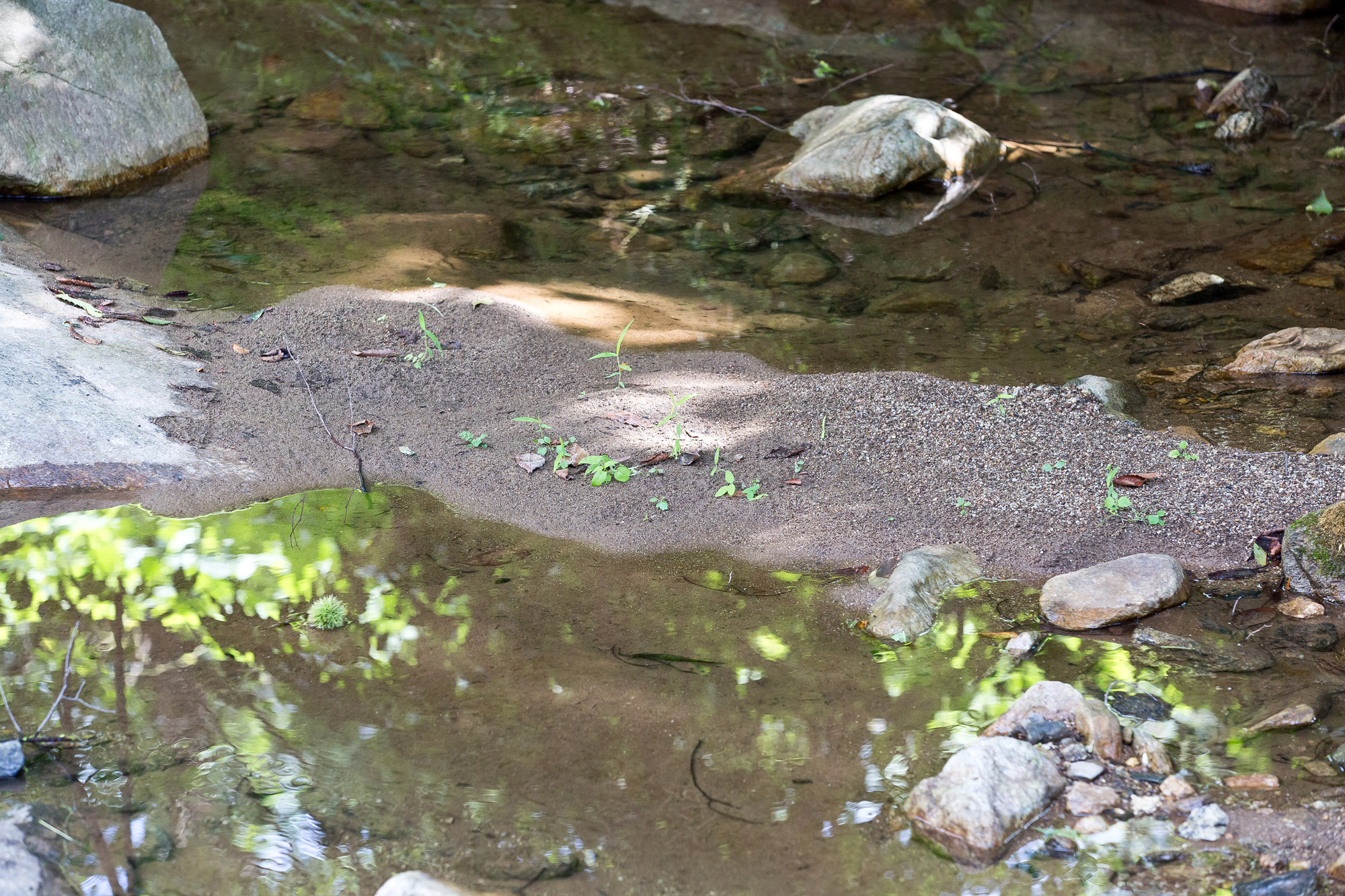경제;사회;기업;IT기업;한글과컴퓨터;한컴;한컴마루;불법공사;불법삼림훼손